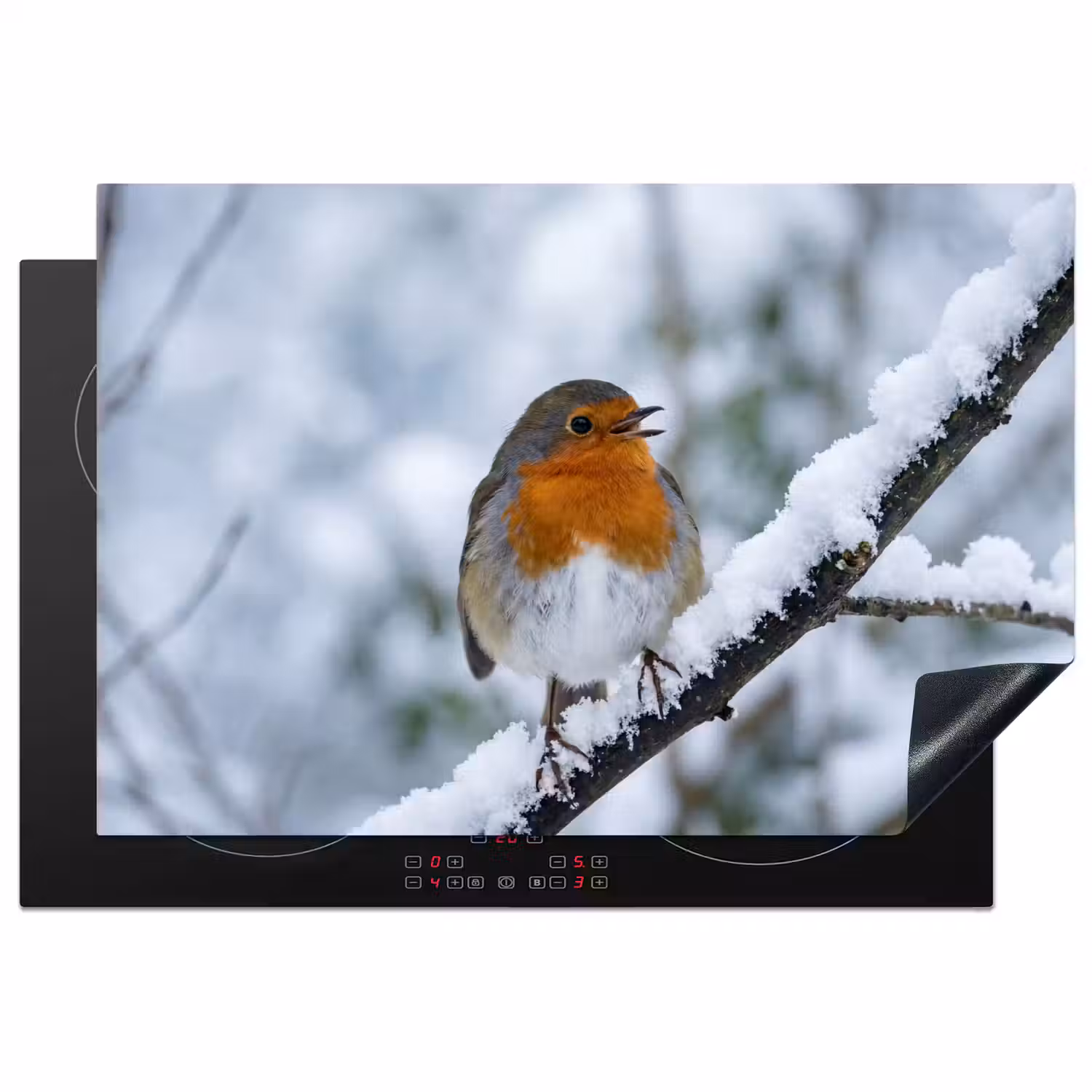 Roodborstje - Tak - Sneeuw - Winter - Levendig Inductie beschermer vinyl 3mm klein -3d