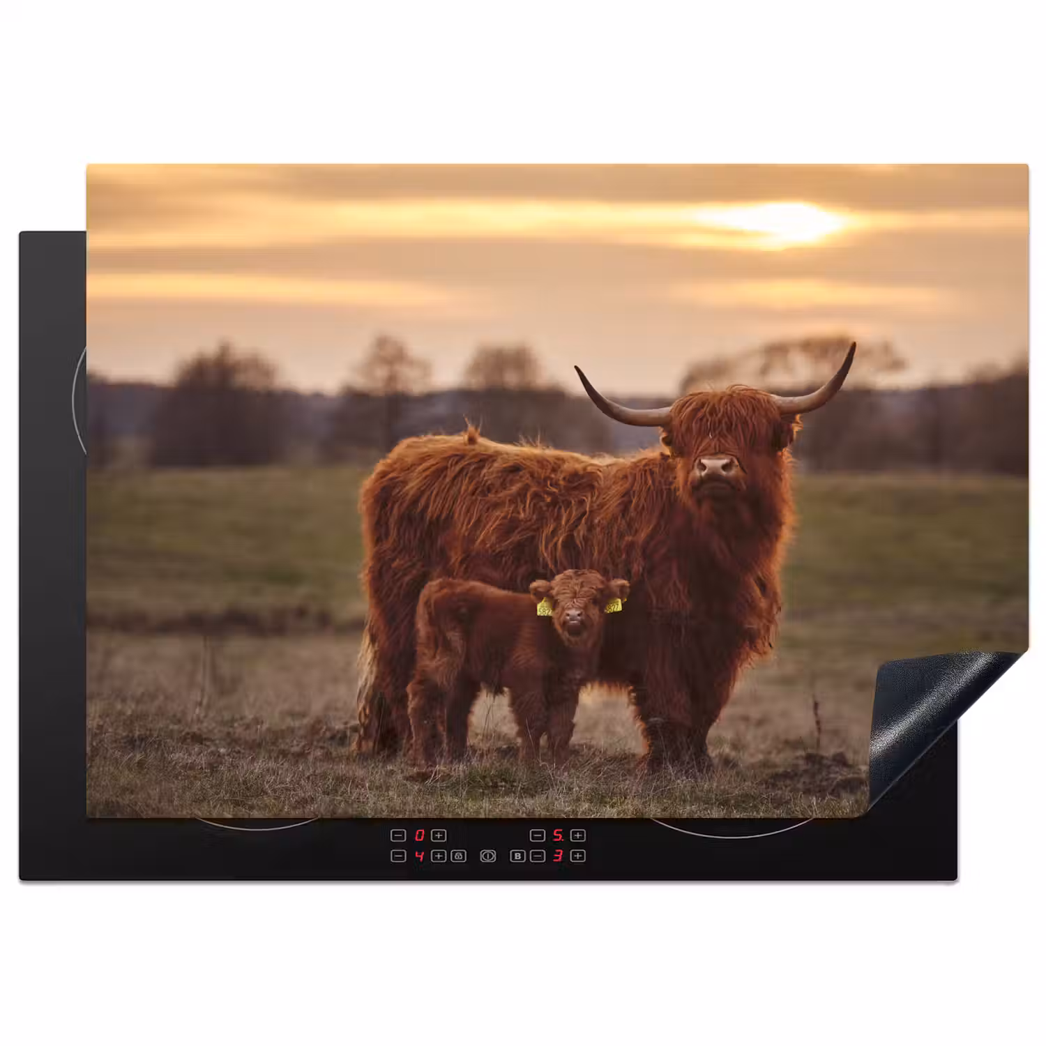 Schotse hooglander - Dieren - Landschap - Zonsondergang - Koe Inductie beschermer vinyl 3mm middel -3d