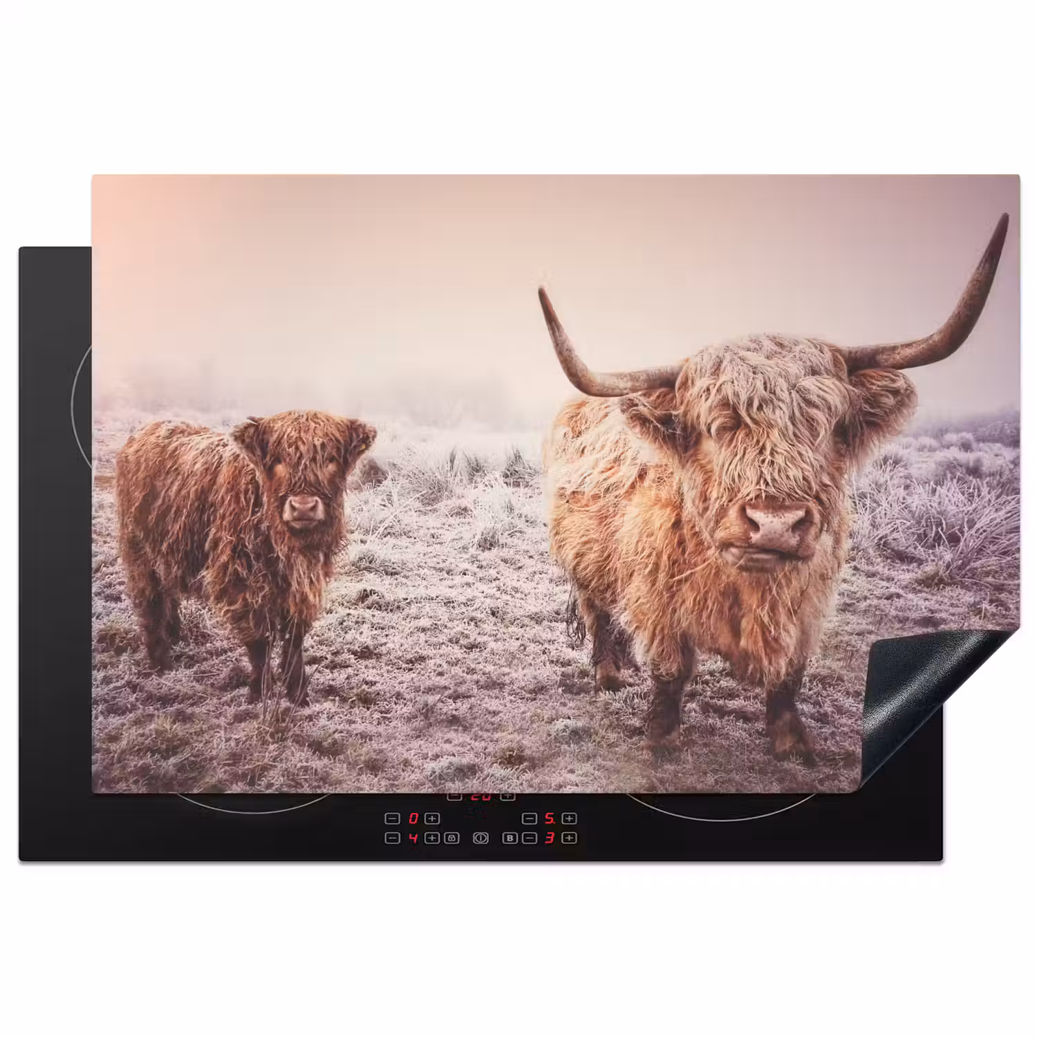 Schotse hooglanders - Licht - Lucht - Natuur Inductie beschermer vinyl 3mm klein -3d