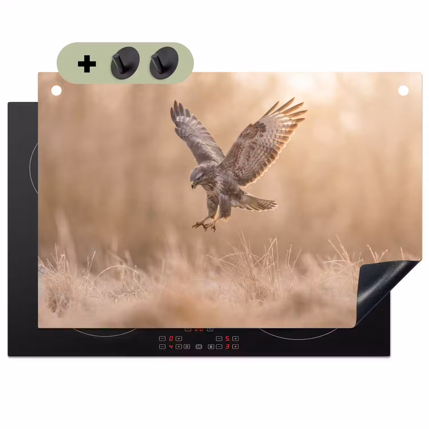 Buizerd - Roofvogel - Natuur - Bruin Inductie beschemer met haakjes klein -3d