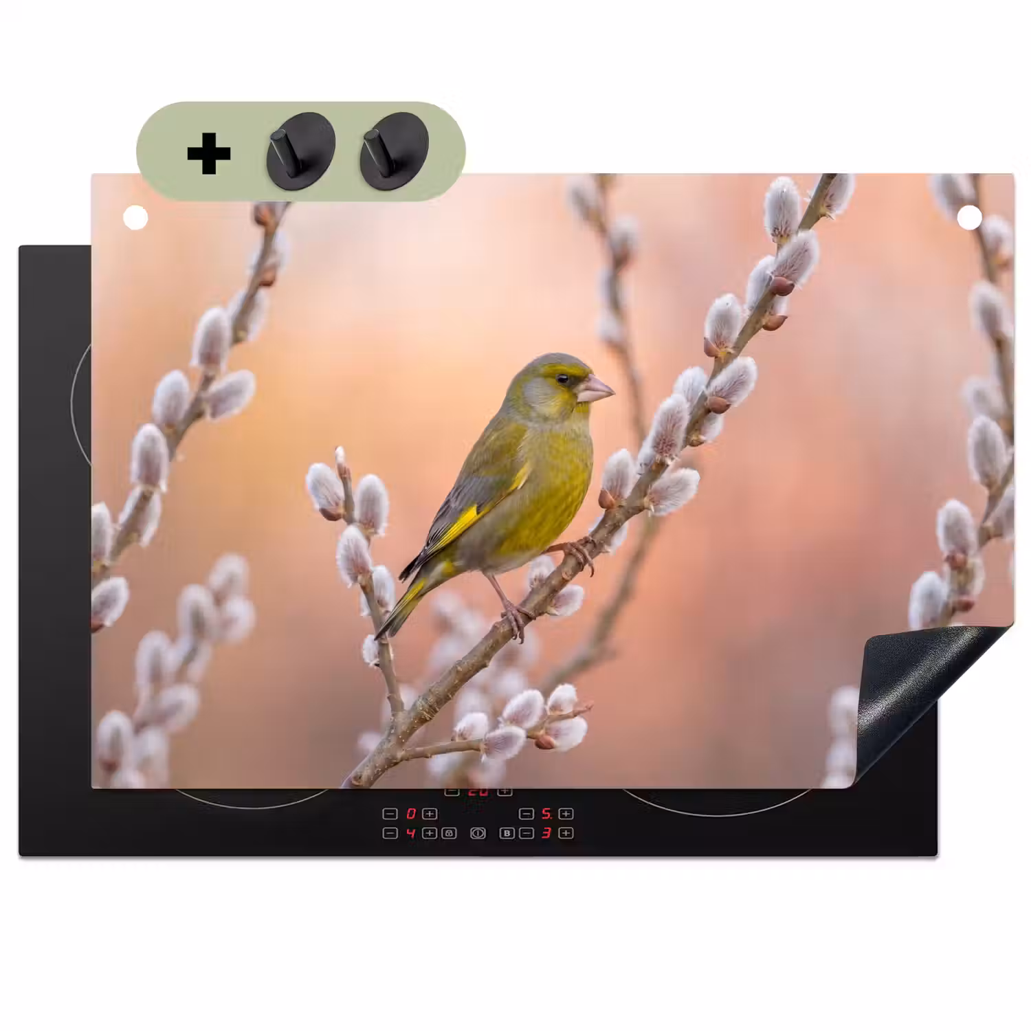 Groenling - Katjes - Lente - Natuur - Zacht Inductie beschemer met haakjes klein -3d