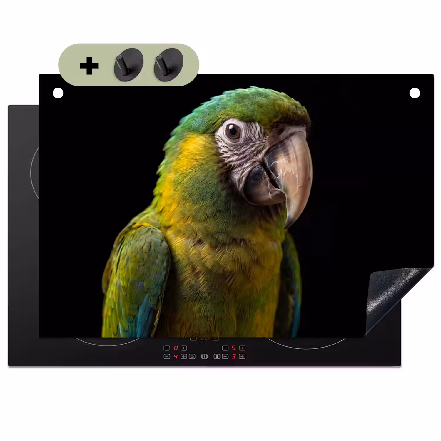 Ara - Portret - Groen Inductie beschemer met haakjes klein -3d