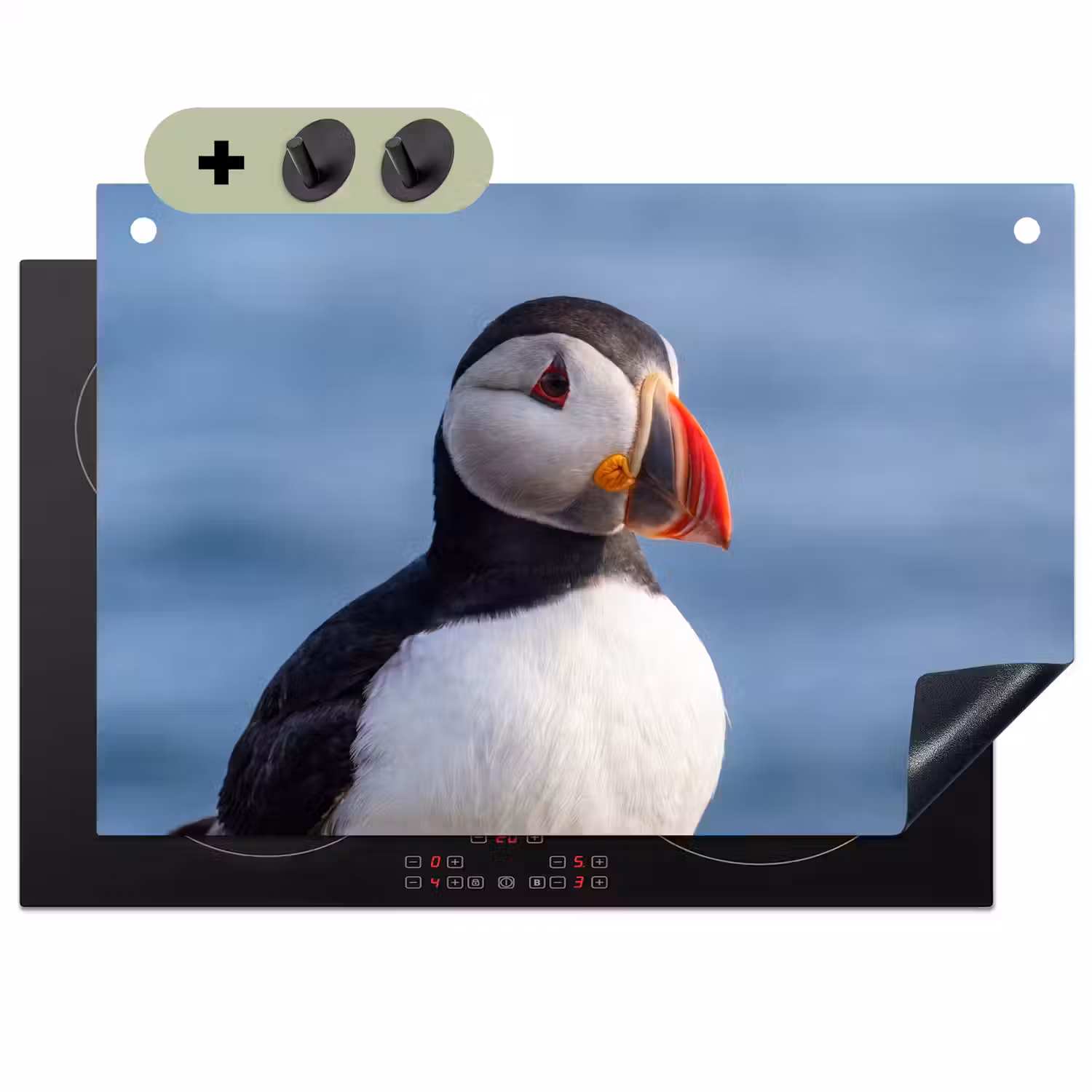 Papegaaiduiker - Portret - Natuur Inductie beschemer met haakjes klein -3d