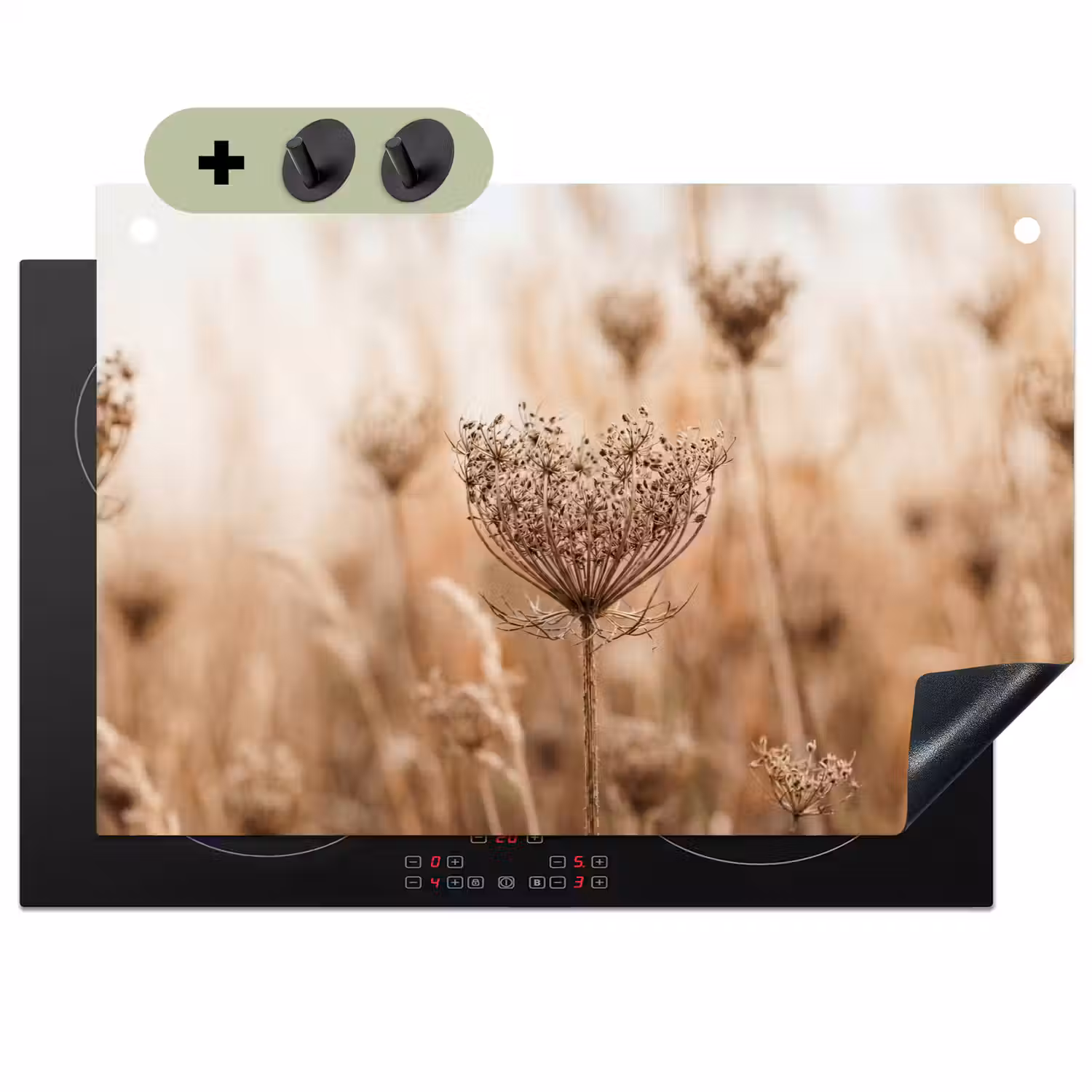 Schermbloem - Droogbloem - Winter - Beige - Minimalistisch Inductie beschemer met haakjes klein -3d