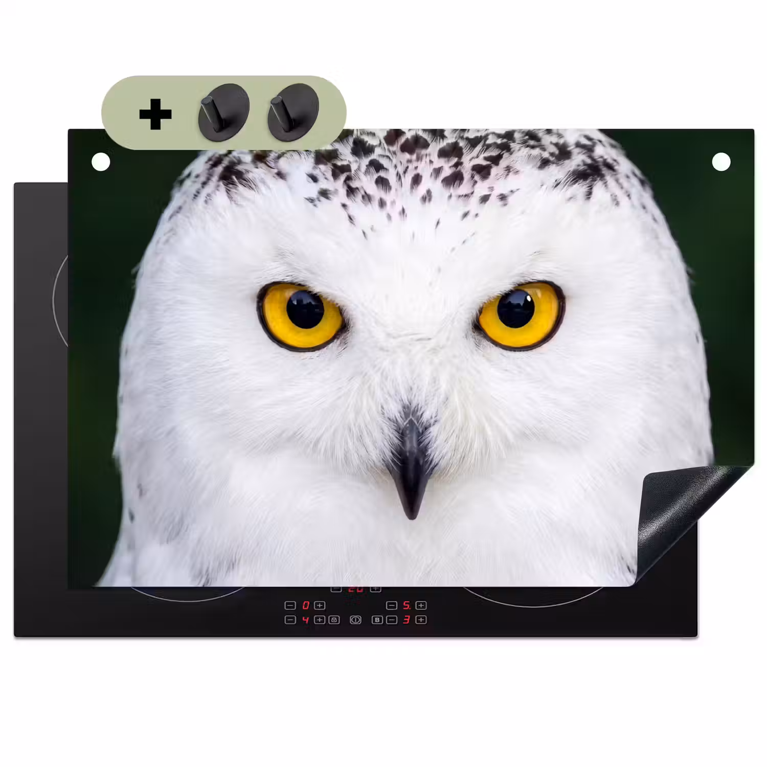 Sneeuwuil - Portret - Geel Inductie beschemer met haakjes klein -3d