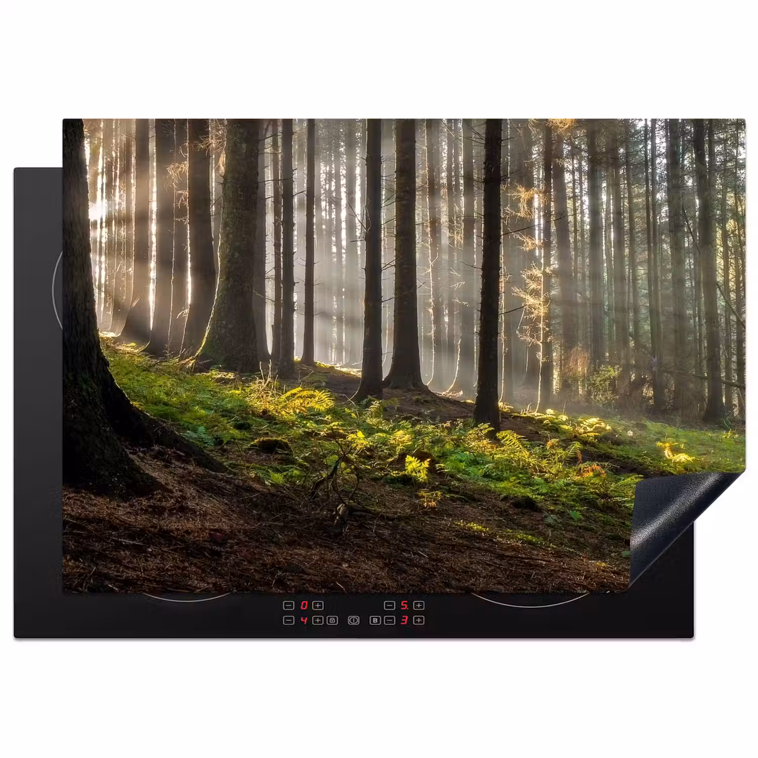 Zon - Takken - Bomen - Bos - Natuur Inductie beschermer vinyl 3mm middel -3d