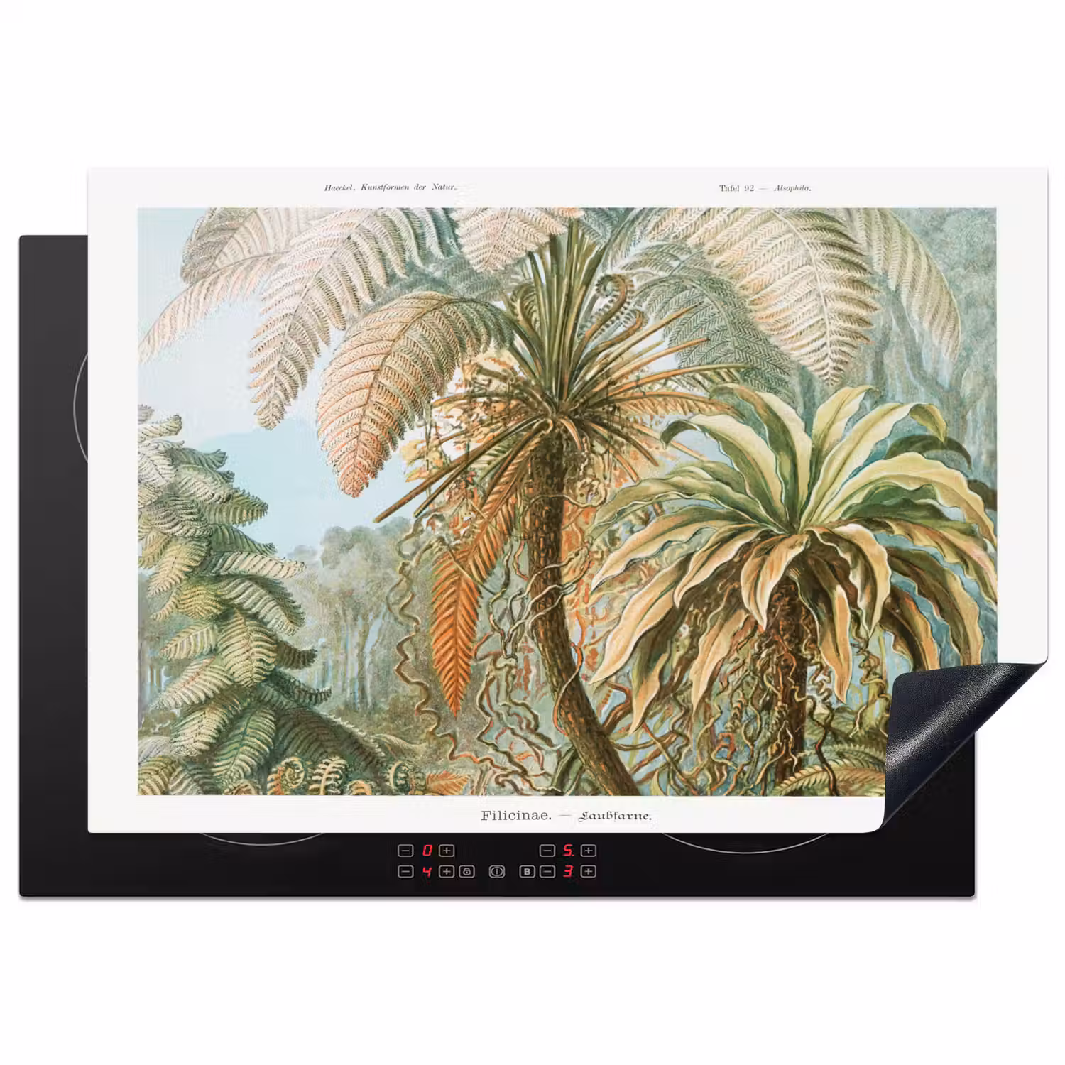 Vintage - Oude meesters - Varens - Planten - Natuur Inductie beschermer vinyl 3mm middel -3d