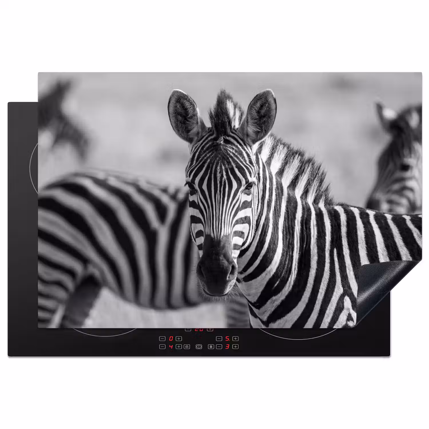 Zebra's - Zwart - Wit Inductie beschermer vinyl 3mm klein -3d