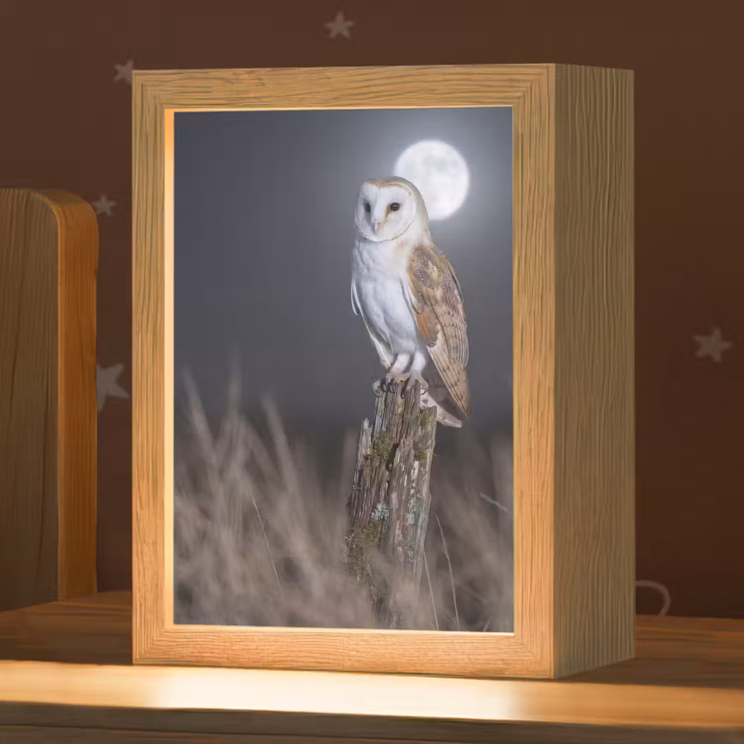 Kerkuil - Maan - Nacht Light Box met kabel (Kinderlampje) klein -zzz_3d_website
