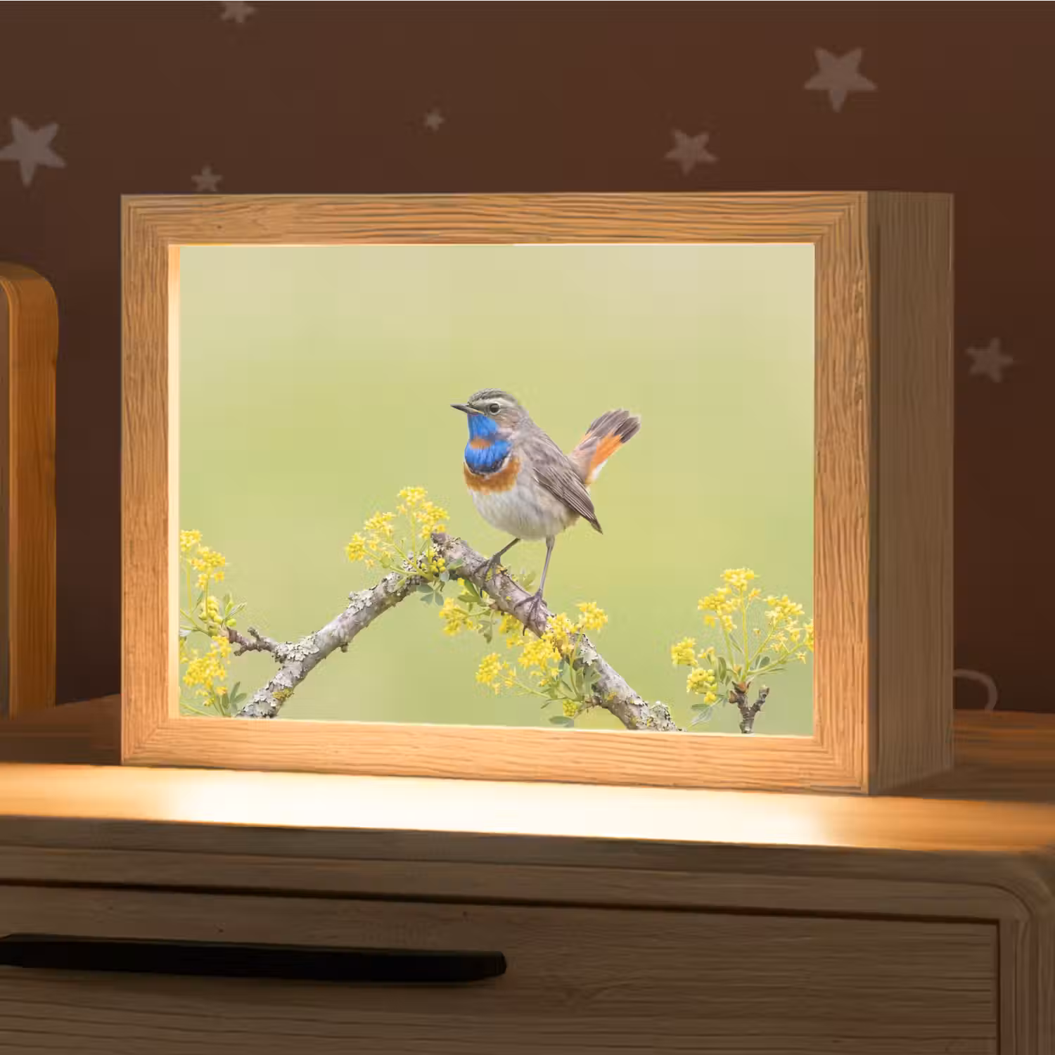 Vogel - Tak - Natuur - Kleurrijk Light Box met kabel (Kinderlampje) klein -zzz_3d_website