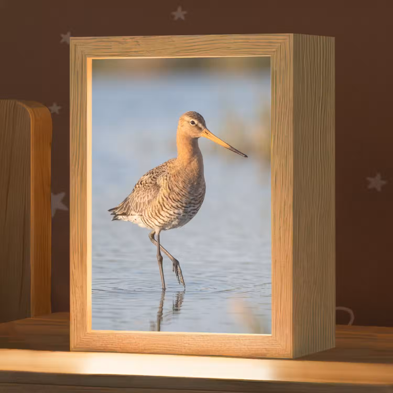 Vogel - Steltloper - Water - Natuur Light Box met kabel (Kinderlampje) klein -zzz_3d_website