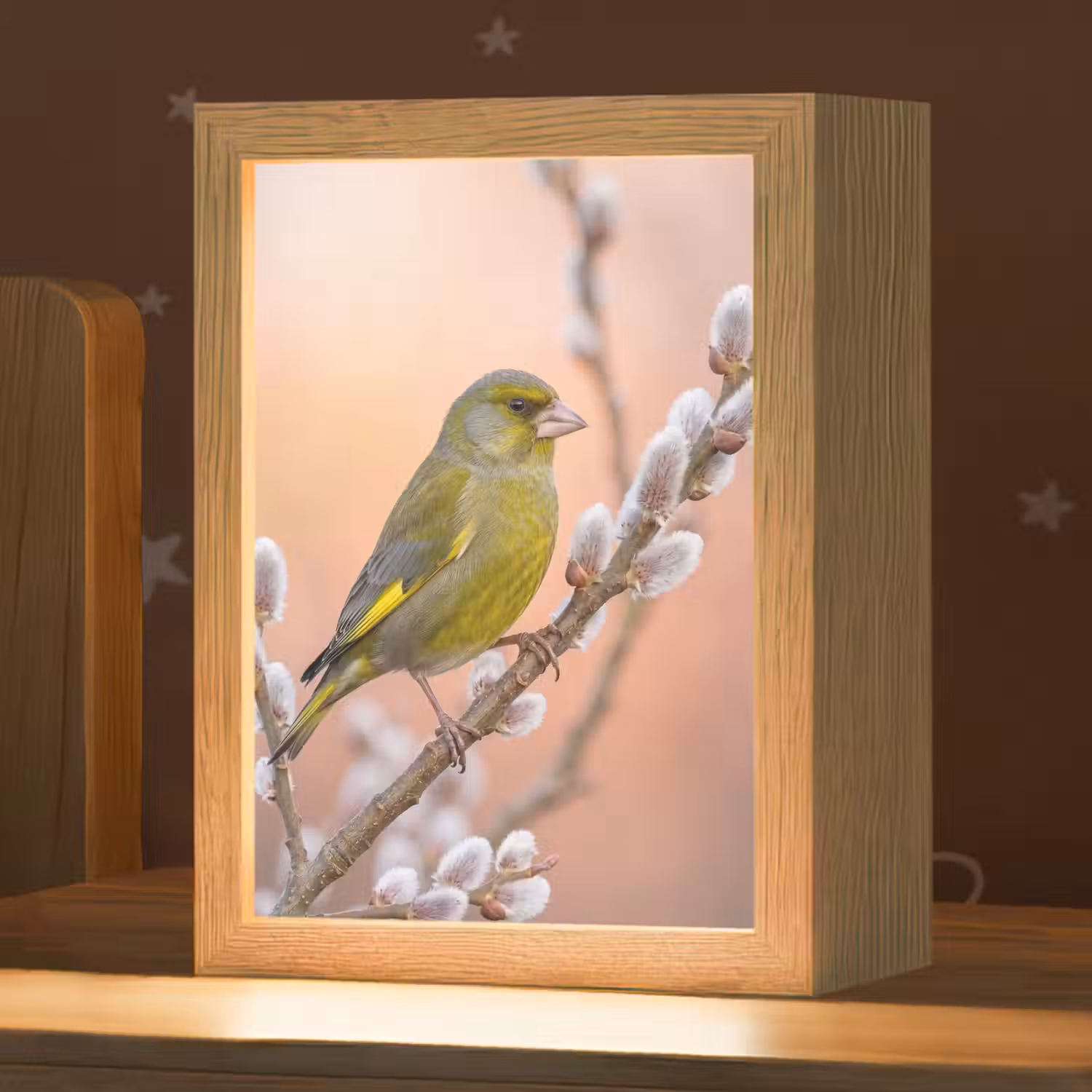 Groenling - Katjes - Lente - Natuur - Zacht Light Box met kabel (Kinderlampje) klein -zzz_3d_website