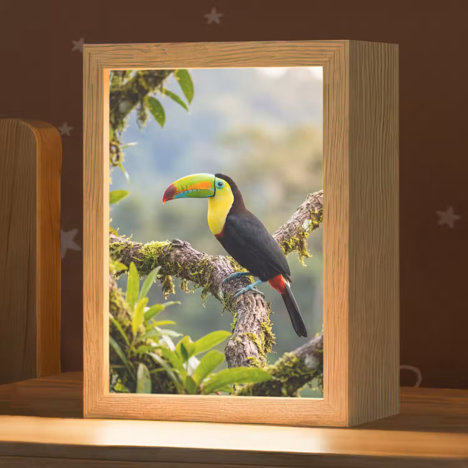 Toekan - Jungle - Natuur - Kleurrijk Light Box met kabel (Kinderlampje) klein -zzz_3d_website