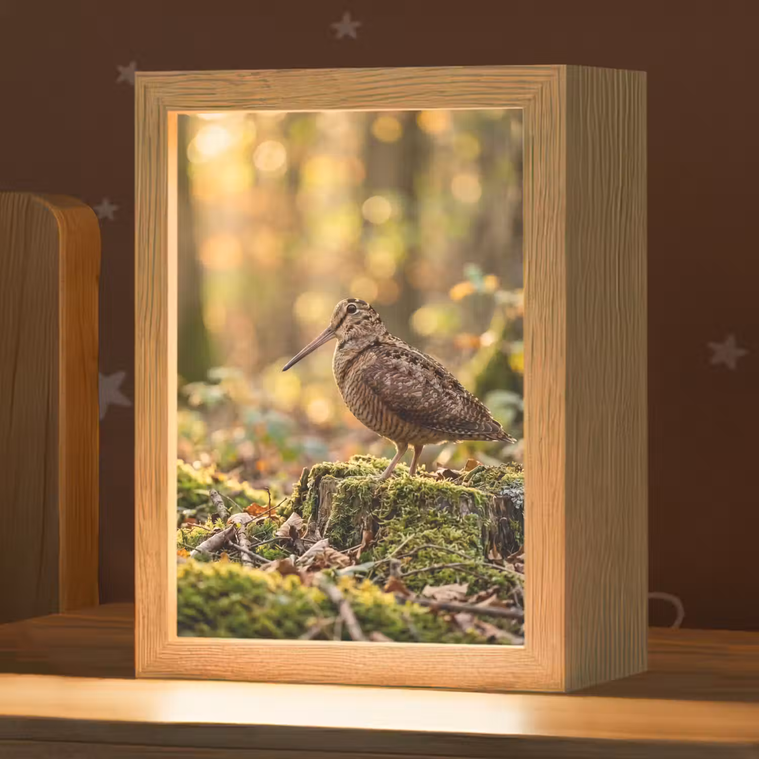 Houtsnip - Bos - Bladeren - Herfst - Gecamoufleerd Light Box met kabel (Kinderlampje) klein -zzz_3d_website