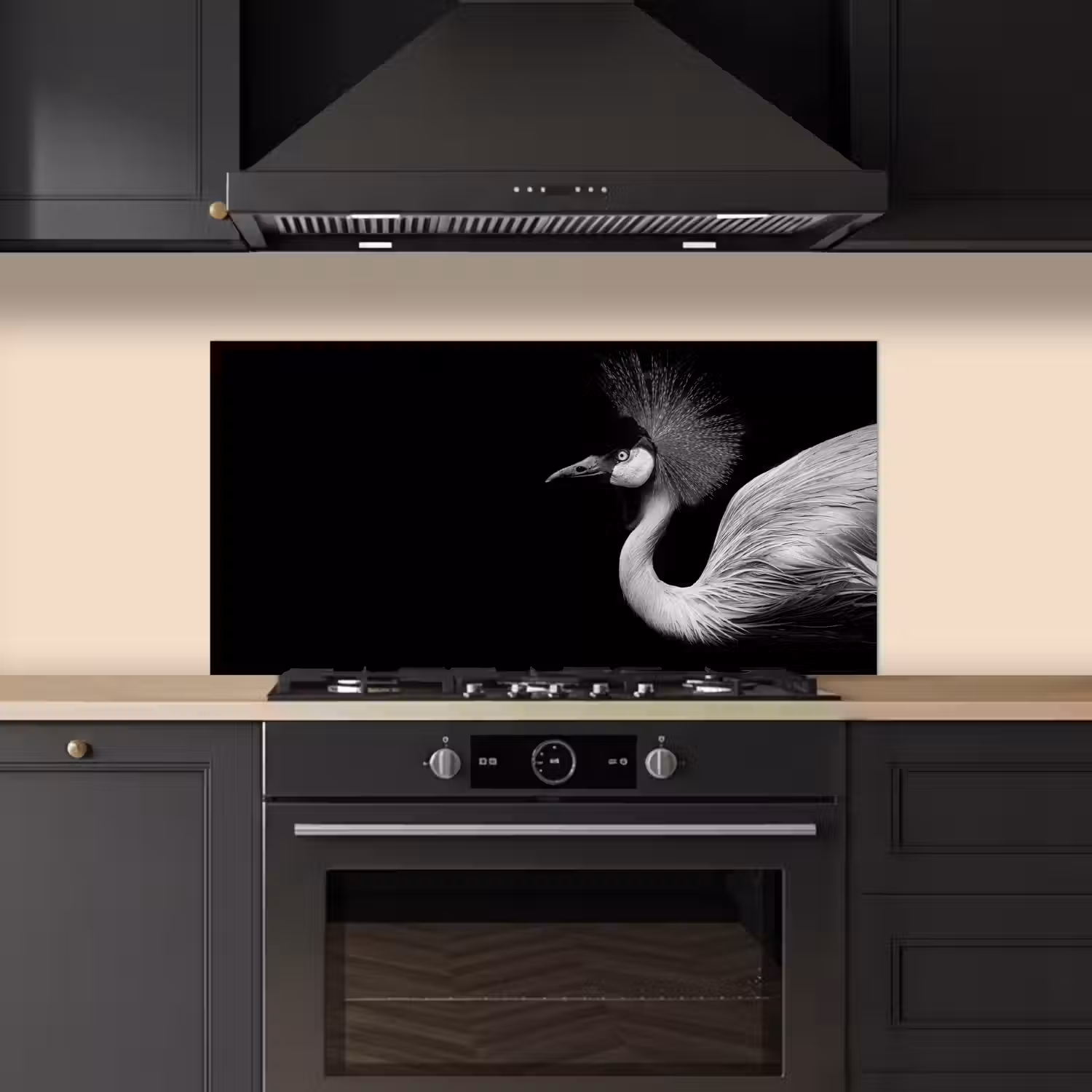 Kraanvogel - Zwart - Wit - Vogel - Dieren keuken achterwand spatscherm middel -sfeer1
