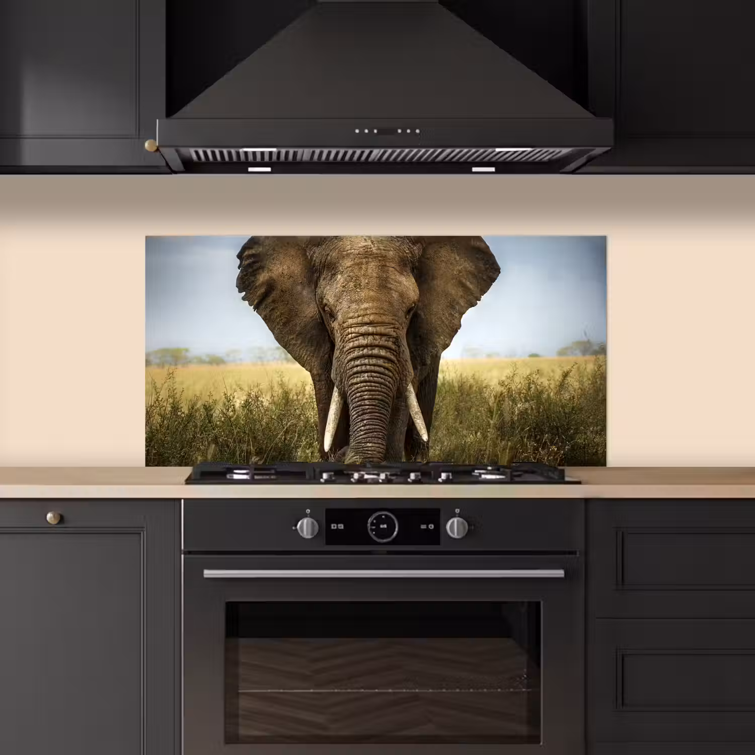 Olifant - Natuur - Gras - Dieren - Landschap keuken achterwand spatscherm middel -sfeer1