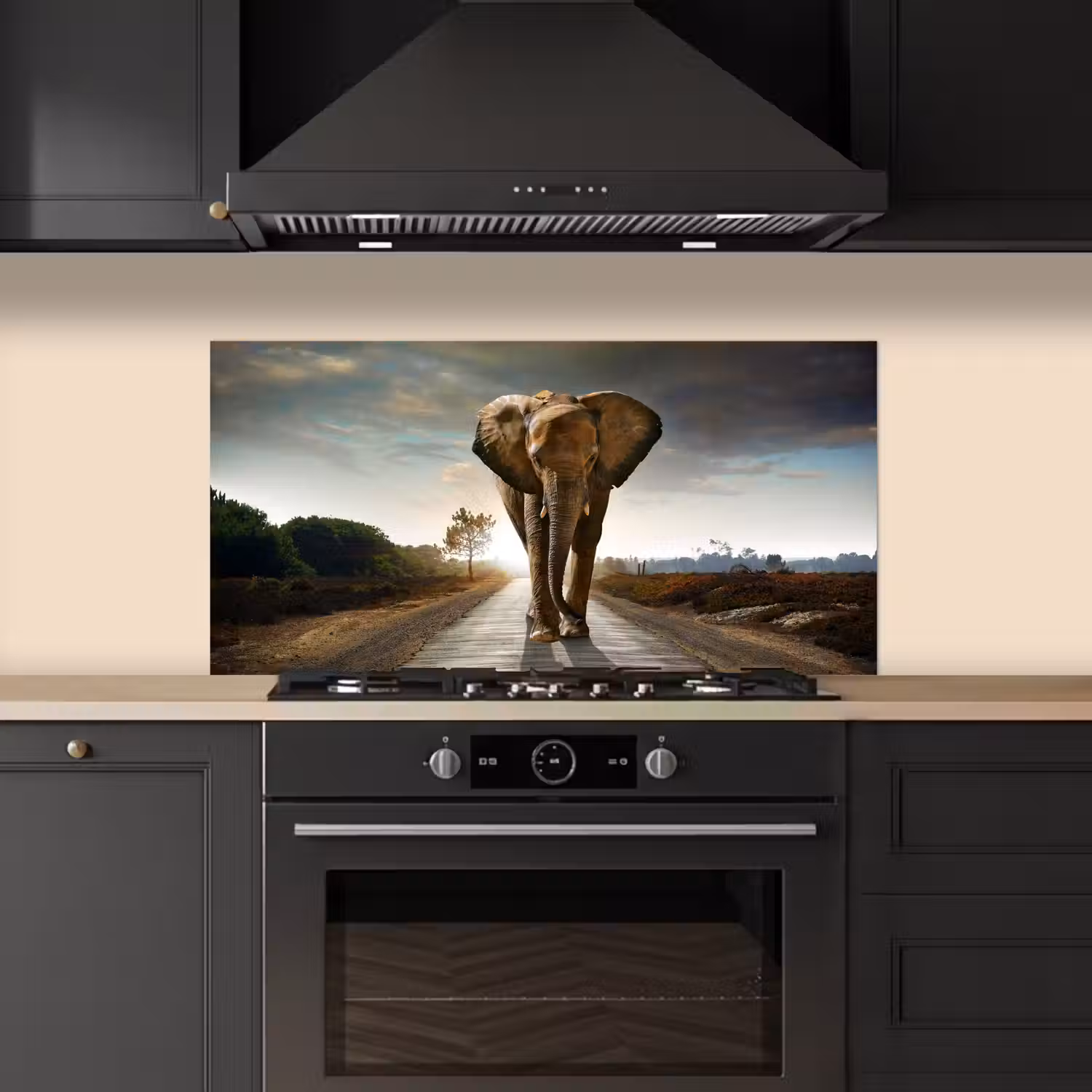 Olifant - Weg - Dieren - Zonsondergang - Landschap keuken achterwand spatscherm middel -sfeer1