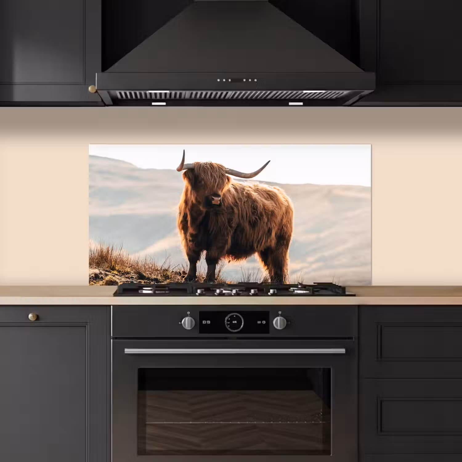 Schotse hooglander - Dieren - Landelijk - Landschap - Koe - Natuur keuken achterwand spatscherm middel -sfeer1