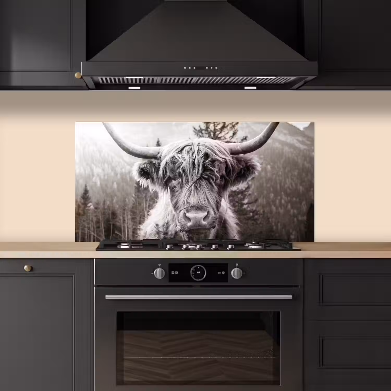 Schotse hooglander - Koe - Dieren - Zwart - Wit keuken achterwand spatscherm middel -sfeer1