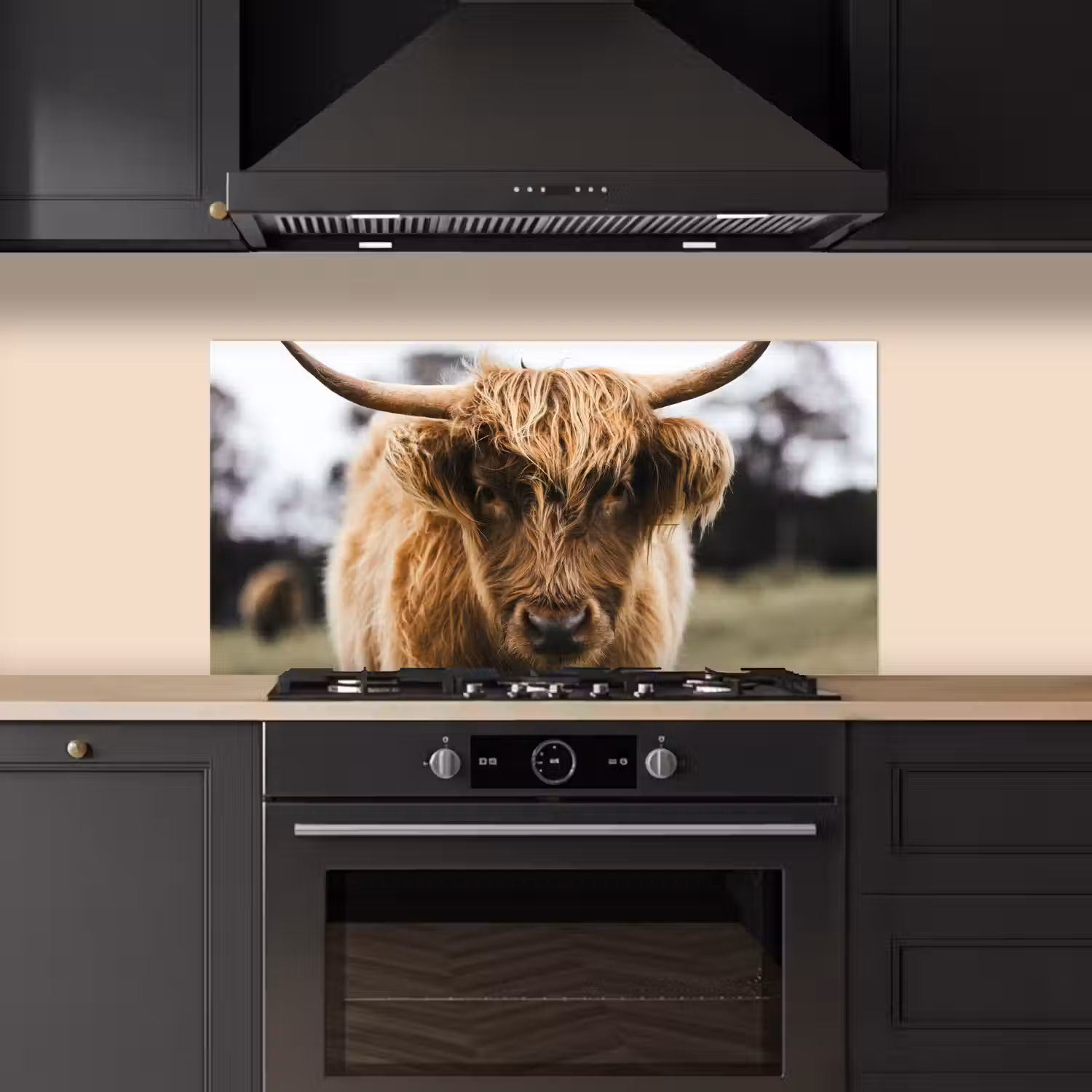 Schotse Hooglander - Koe - Gras - Dieren - Natuur keuken achterwand spatscherm middel -sfeer1