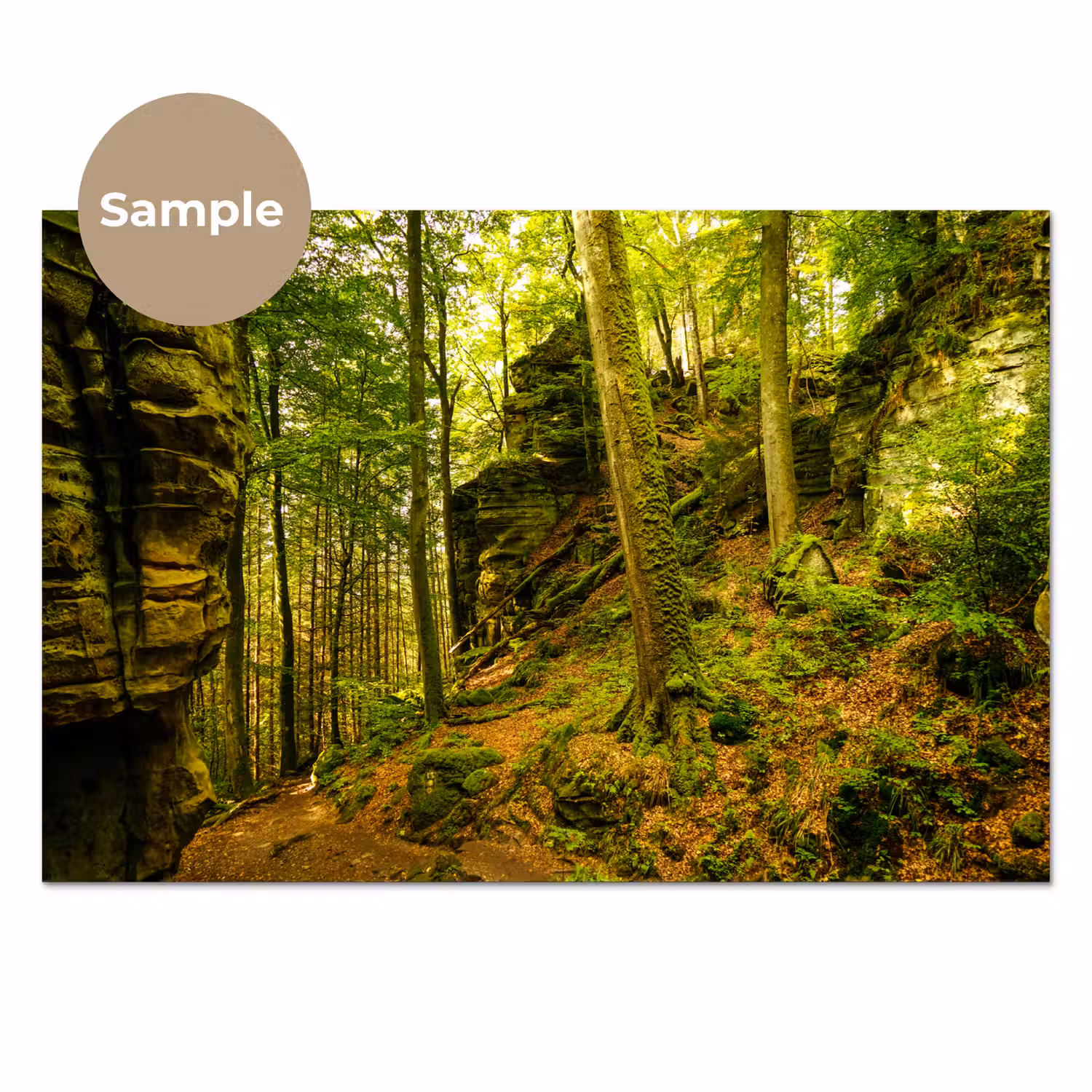 Bomen - Steen - Bos - Natuur - Planten keuken achterwand sample klein -3d_EN