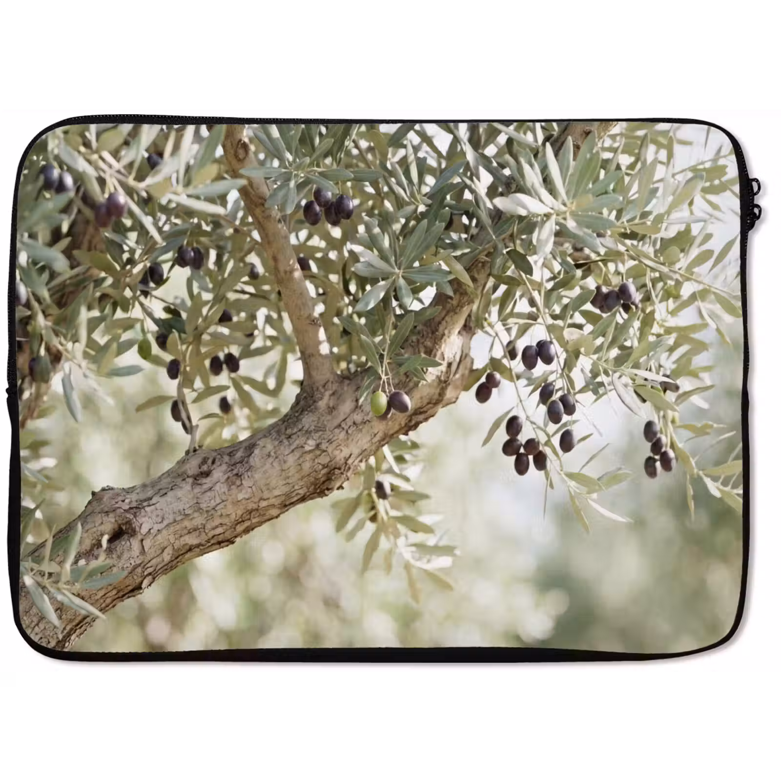 Laptop Sleeve - Olive tree - branch - green - Olijfboom - tak - groen laptophoes neopreen klein