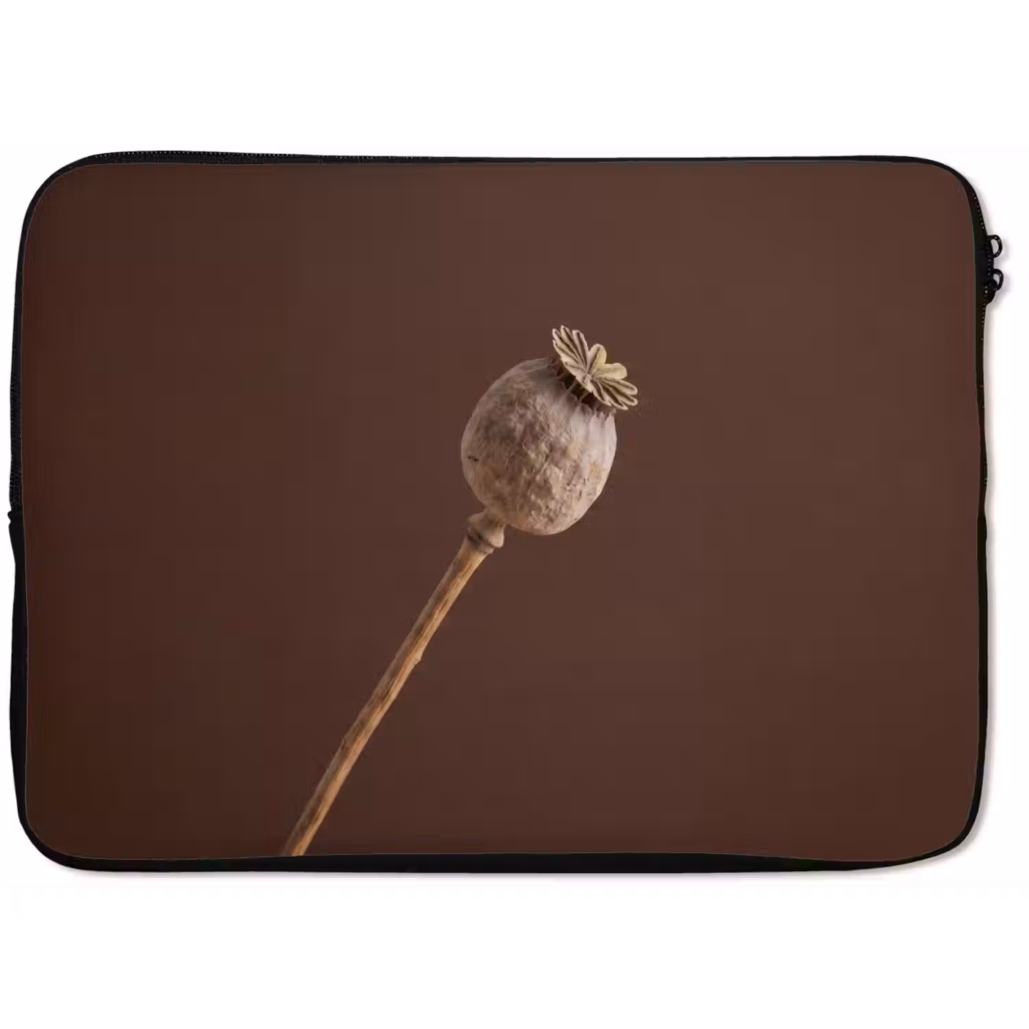 Papaverbol - Droogbloem - Bruin - Minimalistisch laptophoes neopreen klein -zkaufland3dotto