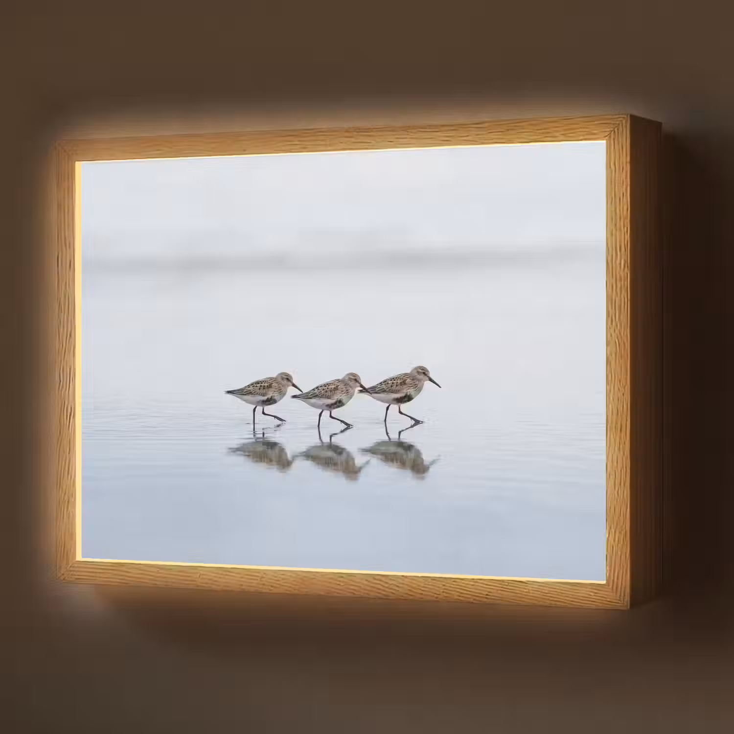 Vogels - Water - Grijs Light Box met batterij (Wandlamp) middel -z3d_website