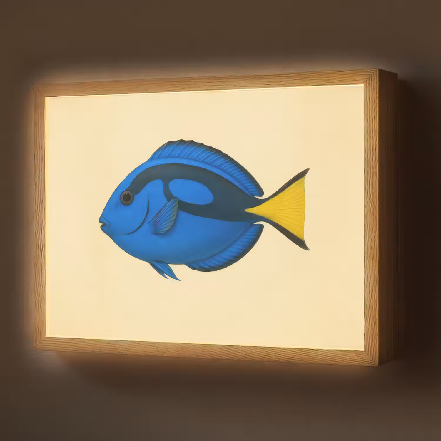 Blauw - Dory - Vis - Staartvin Light Box met batterij (Wandlamp) middel -z3d_website