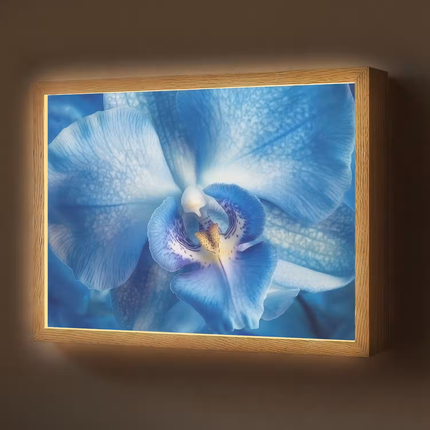 Blauw - Orchidee - Elegeant Light Box met batterij (Wandlamp) middel -z3d_website