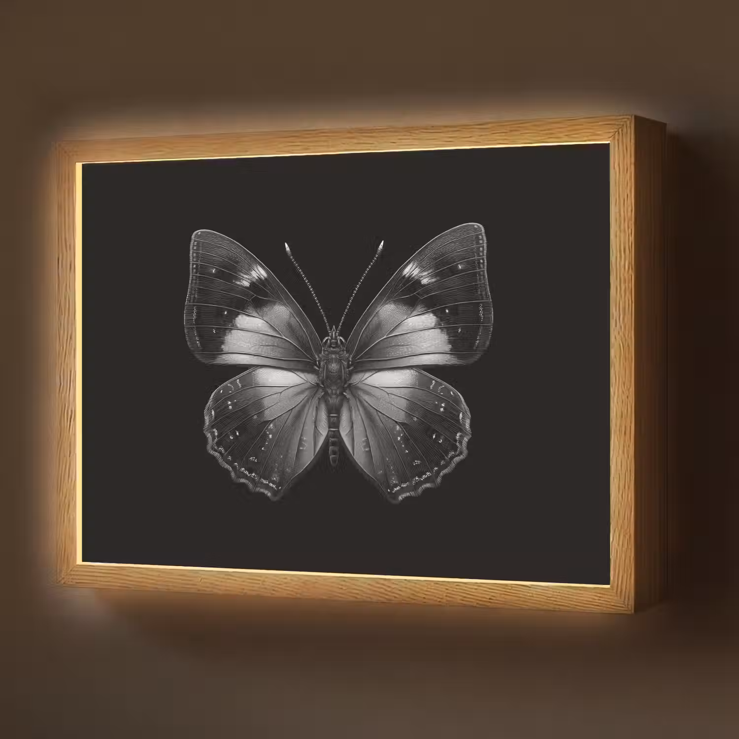 Vlinder - Grijs - Mysterieus Light Box met batterij (Wandlamp) middel -z3d_website