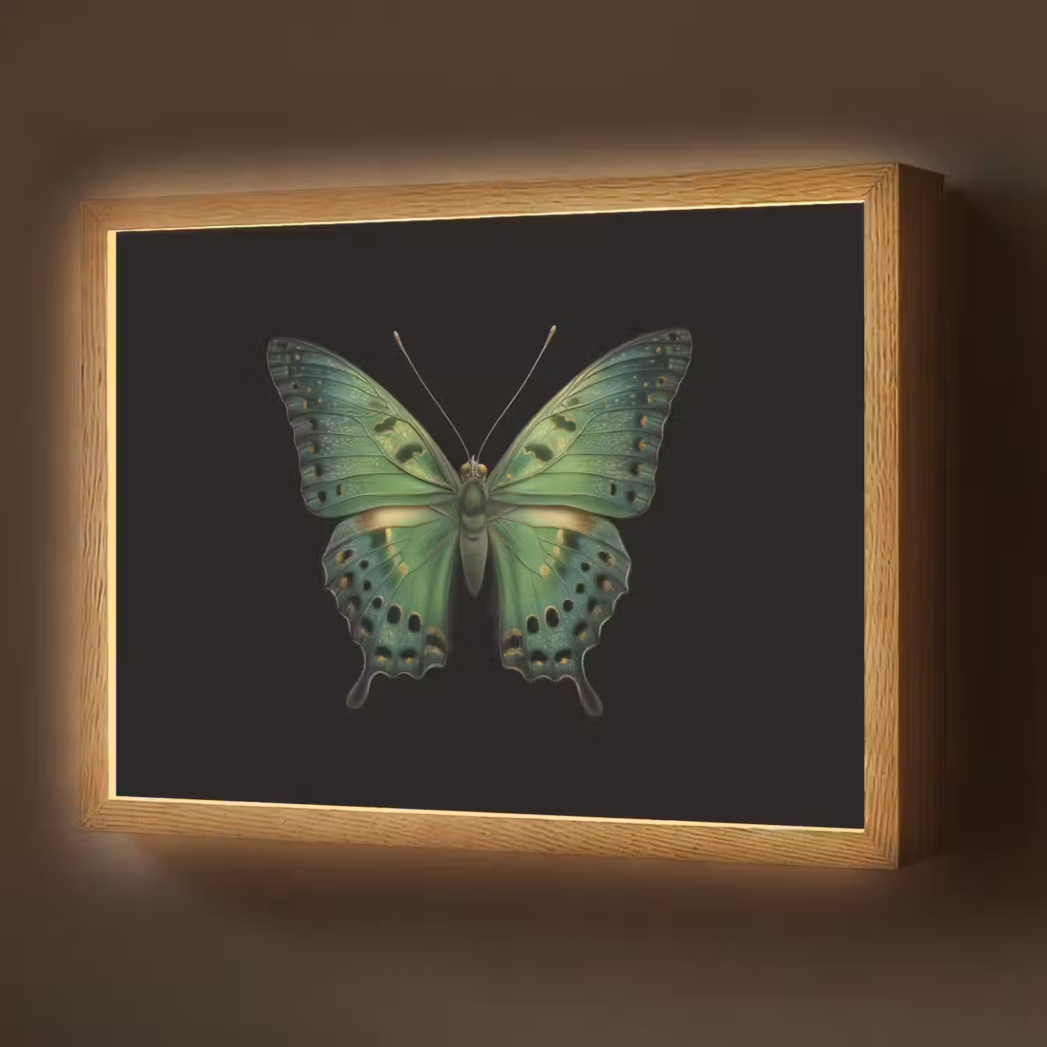 Vlinder - Groen - Diepte Light Box met batterij (Wandlamp) middel -z3d_website