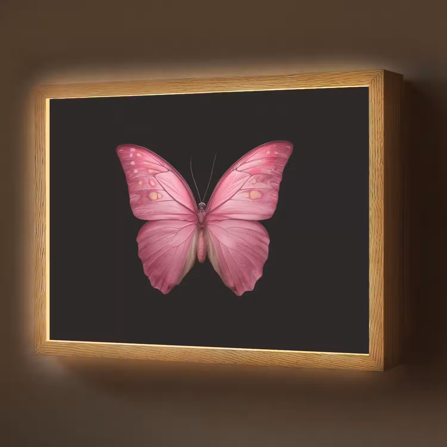 Vlinder - roze - Elegant Light Box met batterij (Wandlamp) middel -z3d_website