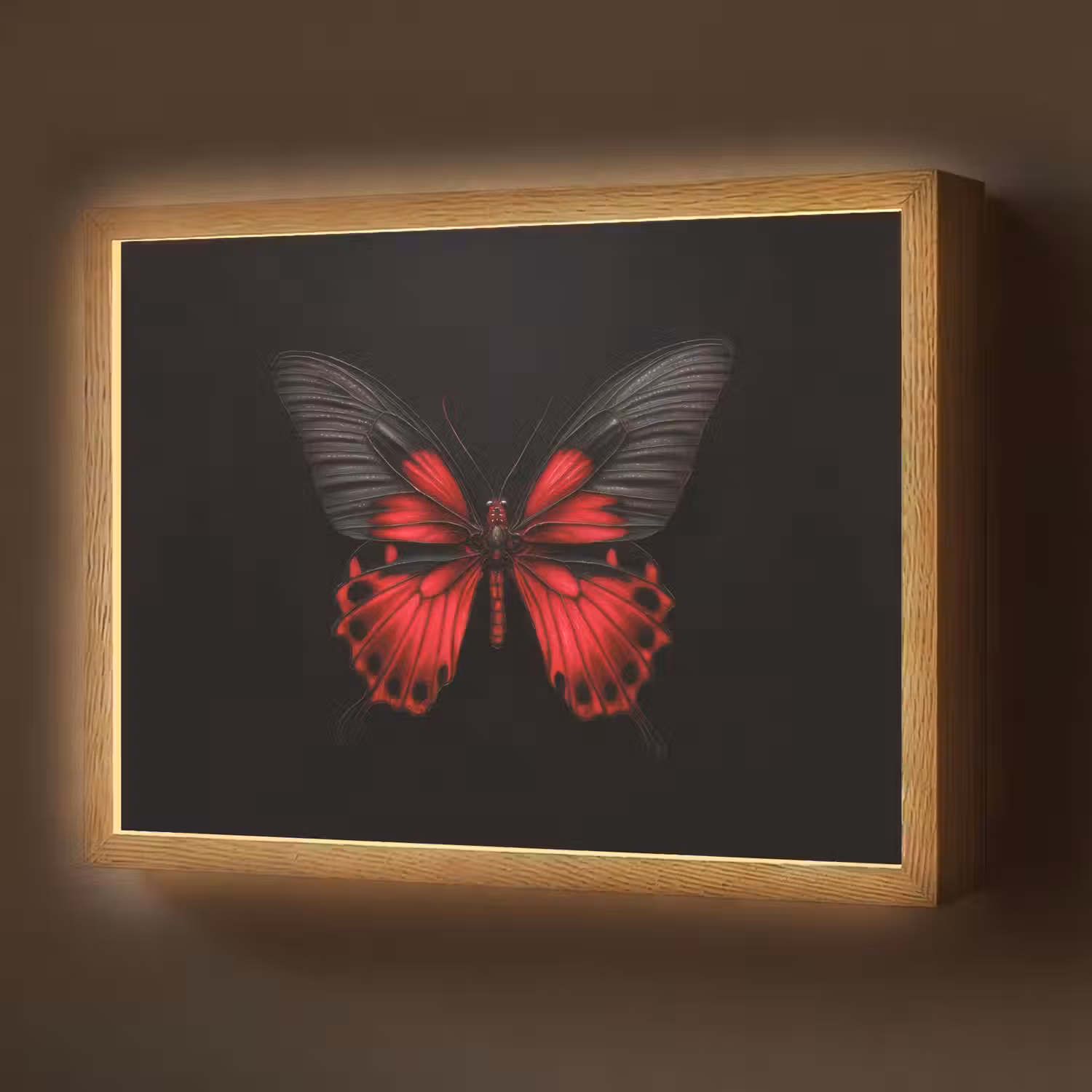 Vlinder - Rood - Contrast Light Box met batterij (Wandlamp) middel -z3d_website
