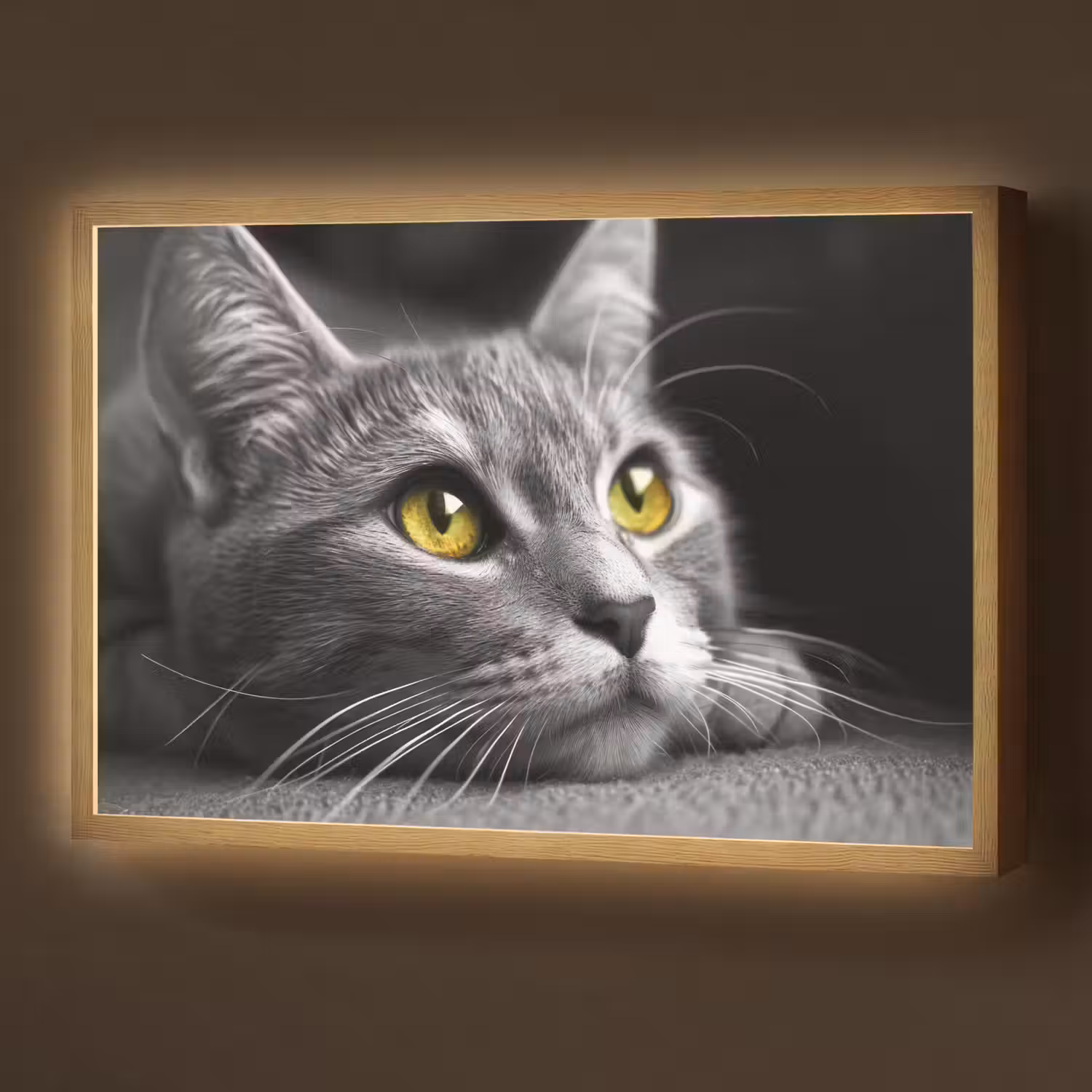 Kat - Zwart - Wit - Dieren - Natuur Light Box met batterij (Wandlamp) middel -z3d_website