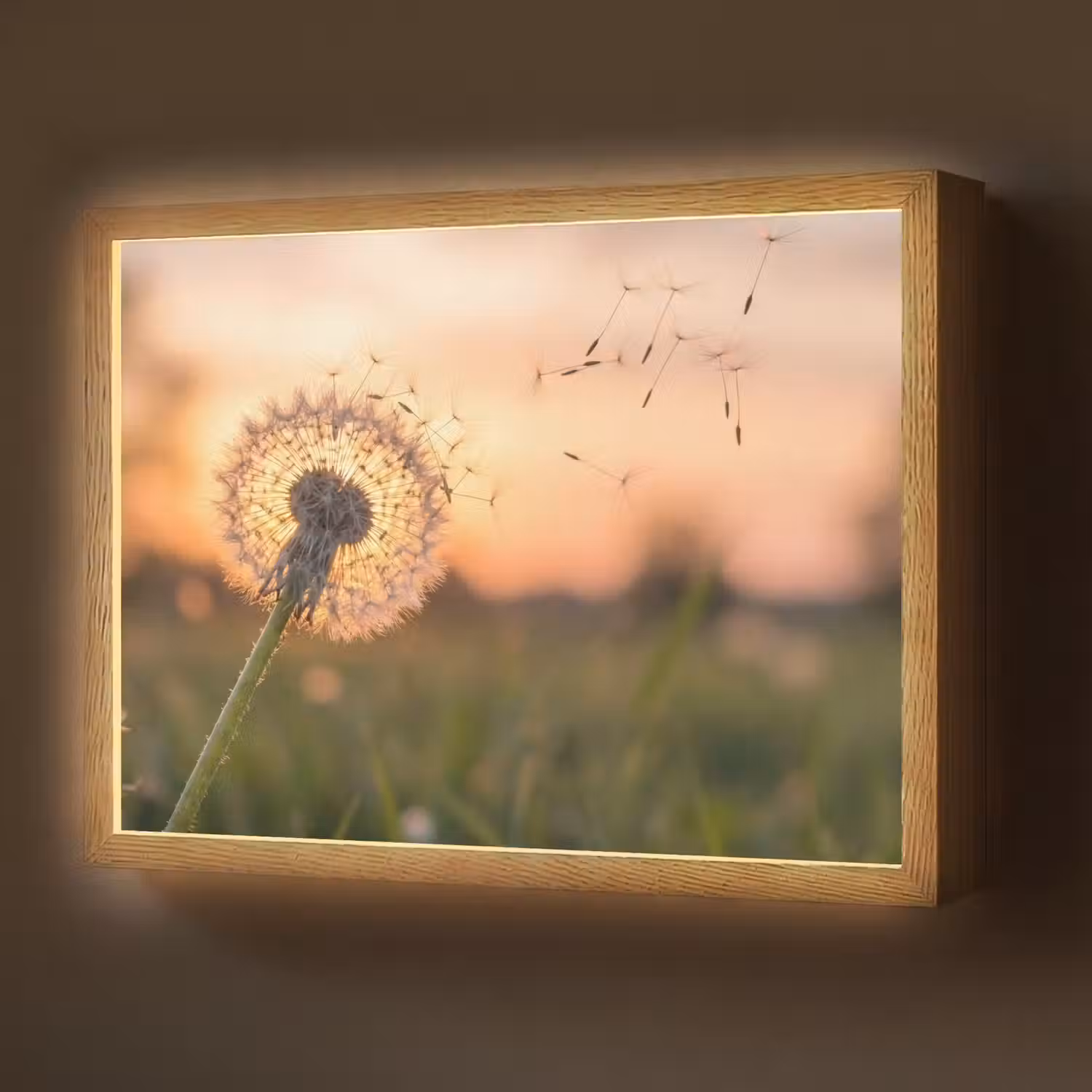 Paardenbloem - Zonsondergang - Veld Light Box met batterij (Wandlamp) middel -z3d_website