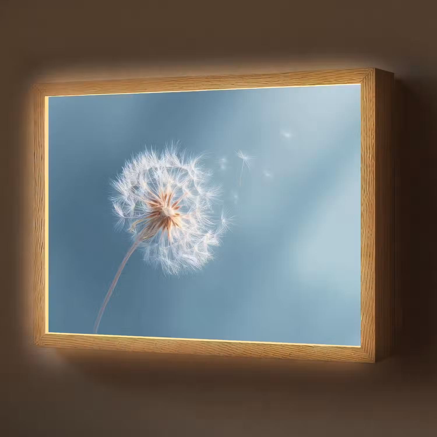 Paardenbloem - Wind - Blauw Light Box met batterij (Wandlamp) middel -z3d_website