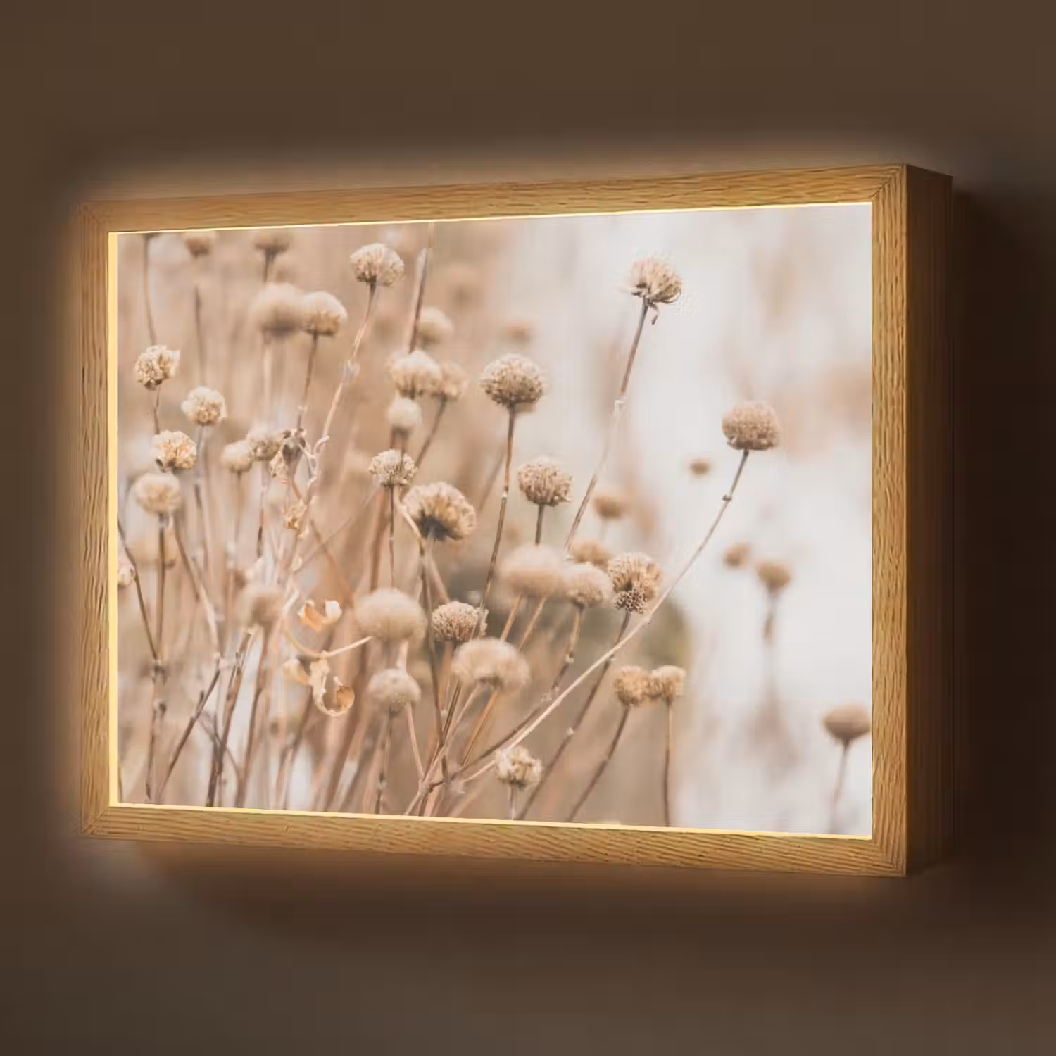Droogbloemen - Beige - Bloemen - Natuur Light Box met batterij (Wandlamp) middel -z3d_website