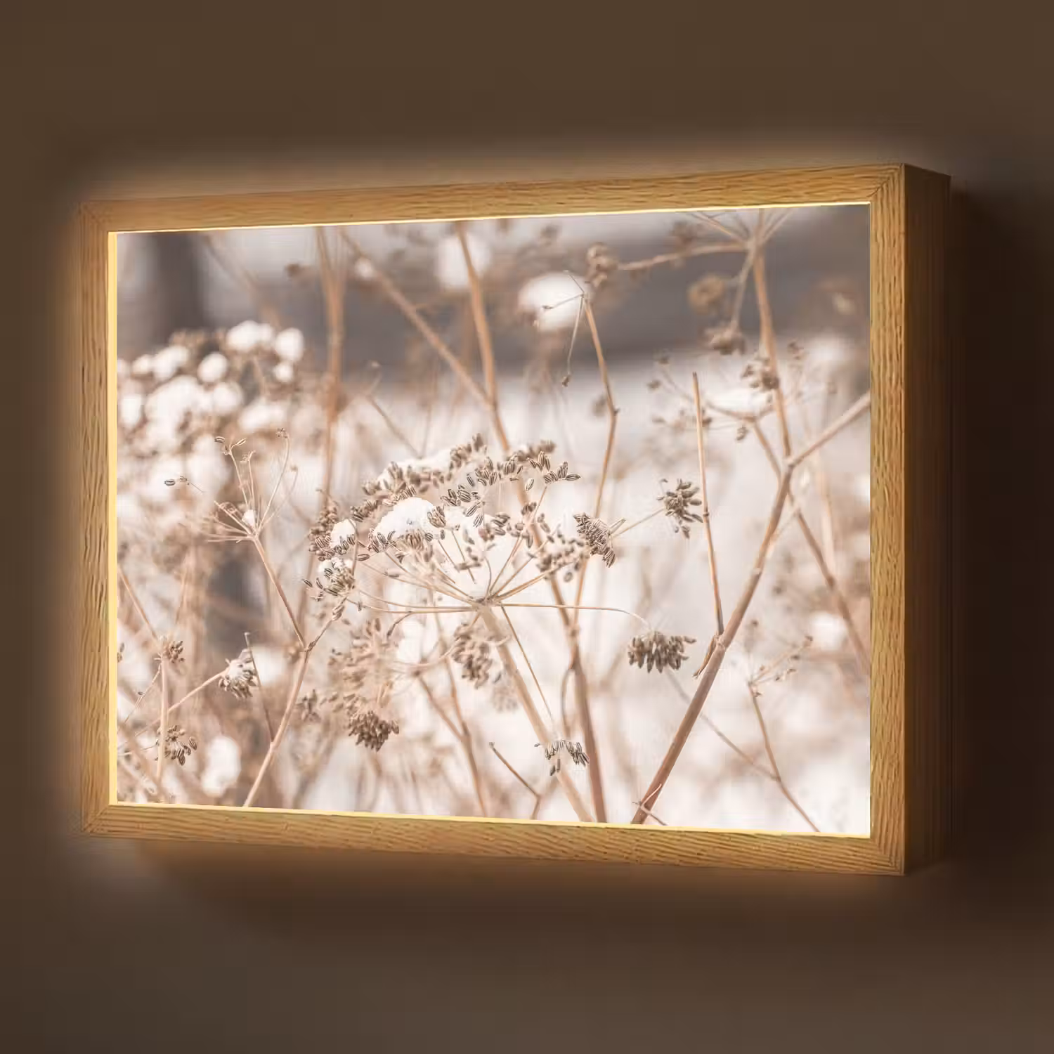 Droogbloemen - Wit - Planten Light Box met batterij (Wandlamp) middel -z3d_website