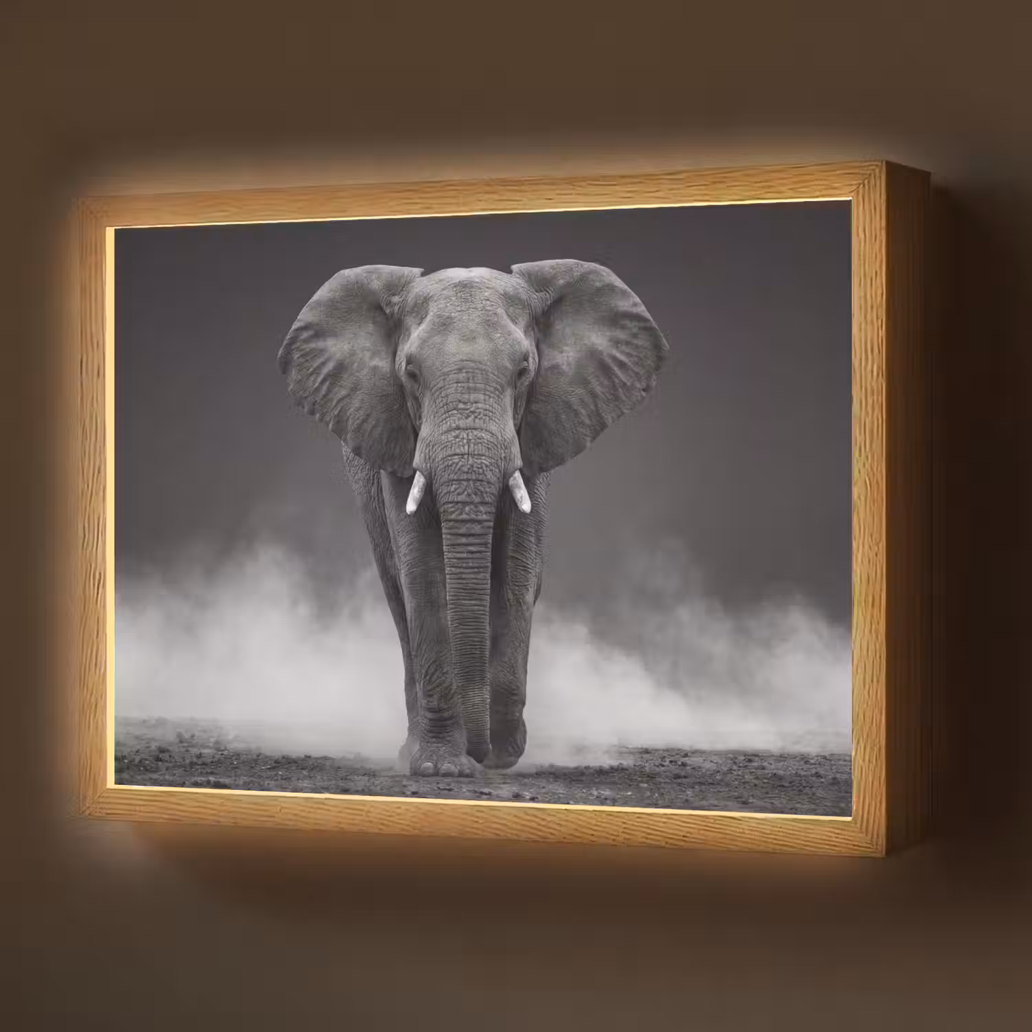 Olifant - Zwart - Wit - Rook Light Box met batterij (Wandlamp) middel -z3d_website