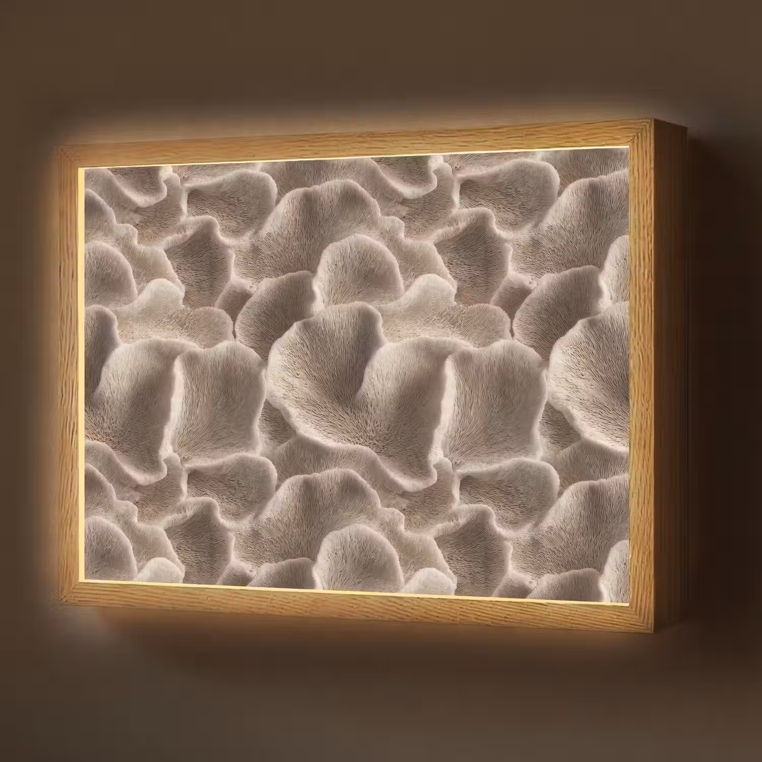 Waaiervorm - Beige - Vezel textuur Light Box met batterij (Wandlamp) middel 907 -z3d_website