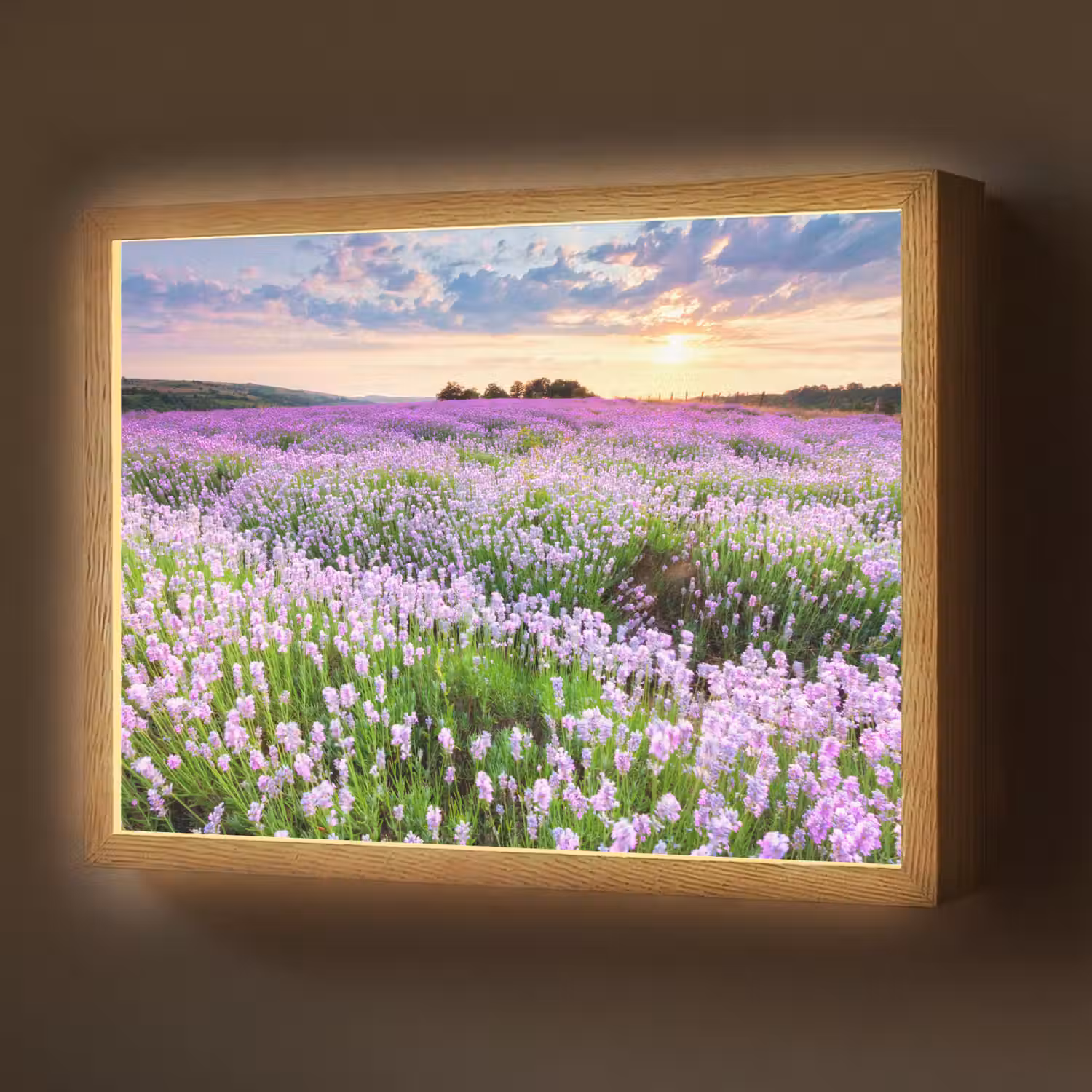 Bloemen - Lavendel - Paars - Lucht - Zonsondergang - Weide - Natuur Light Box met batterij (Wandlamp) middel -z3d_website
