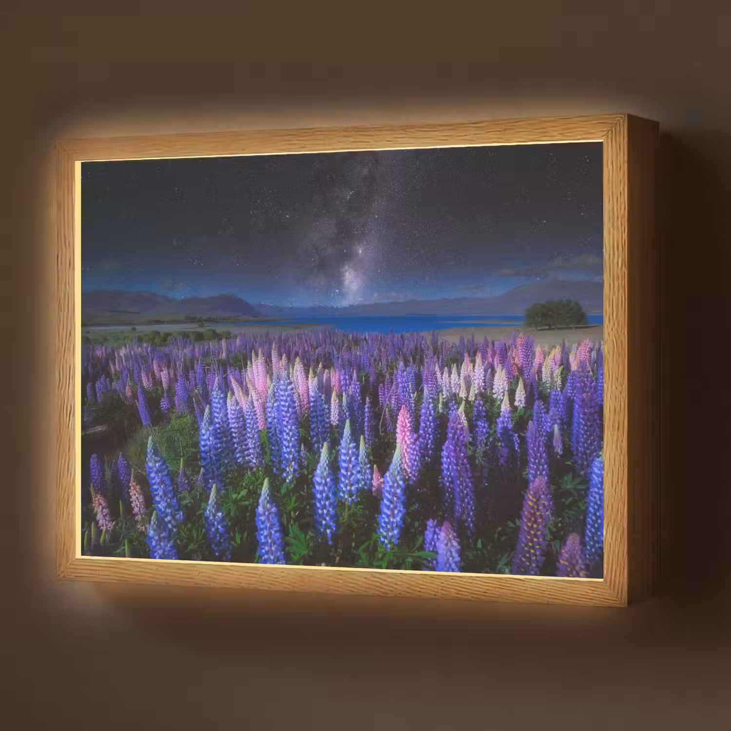 Bloemen - Nacht - Lupine - Sterrenhemel - Paars - Natuur Light Box met batterij (Wandlamp) middel -z3d_website