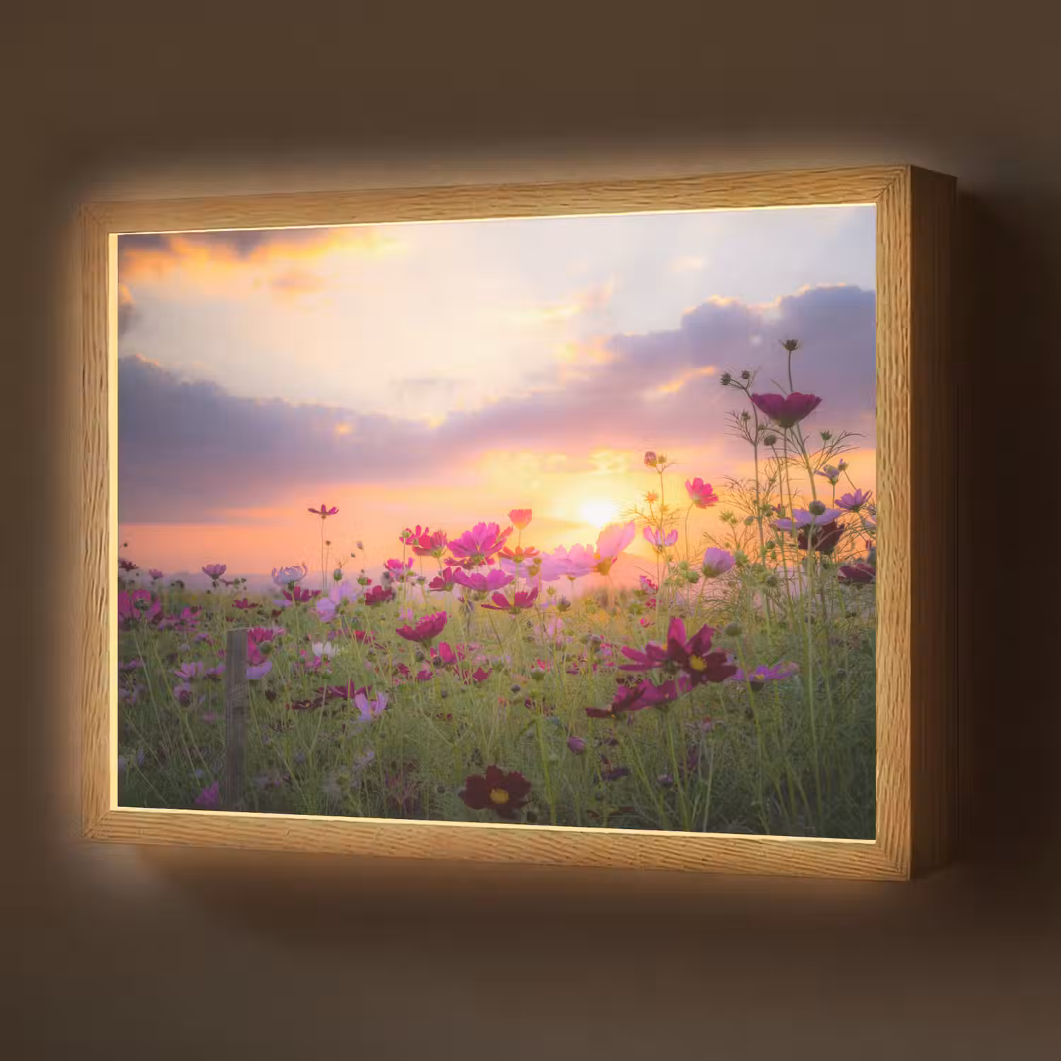 Bloemen - Roze - Zonsondergang - Natuur - Weide - Horizon Light Box met batterij (Wandlamp) middel -z3d_website