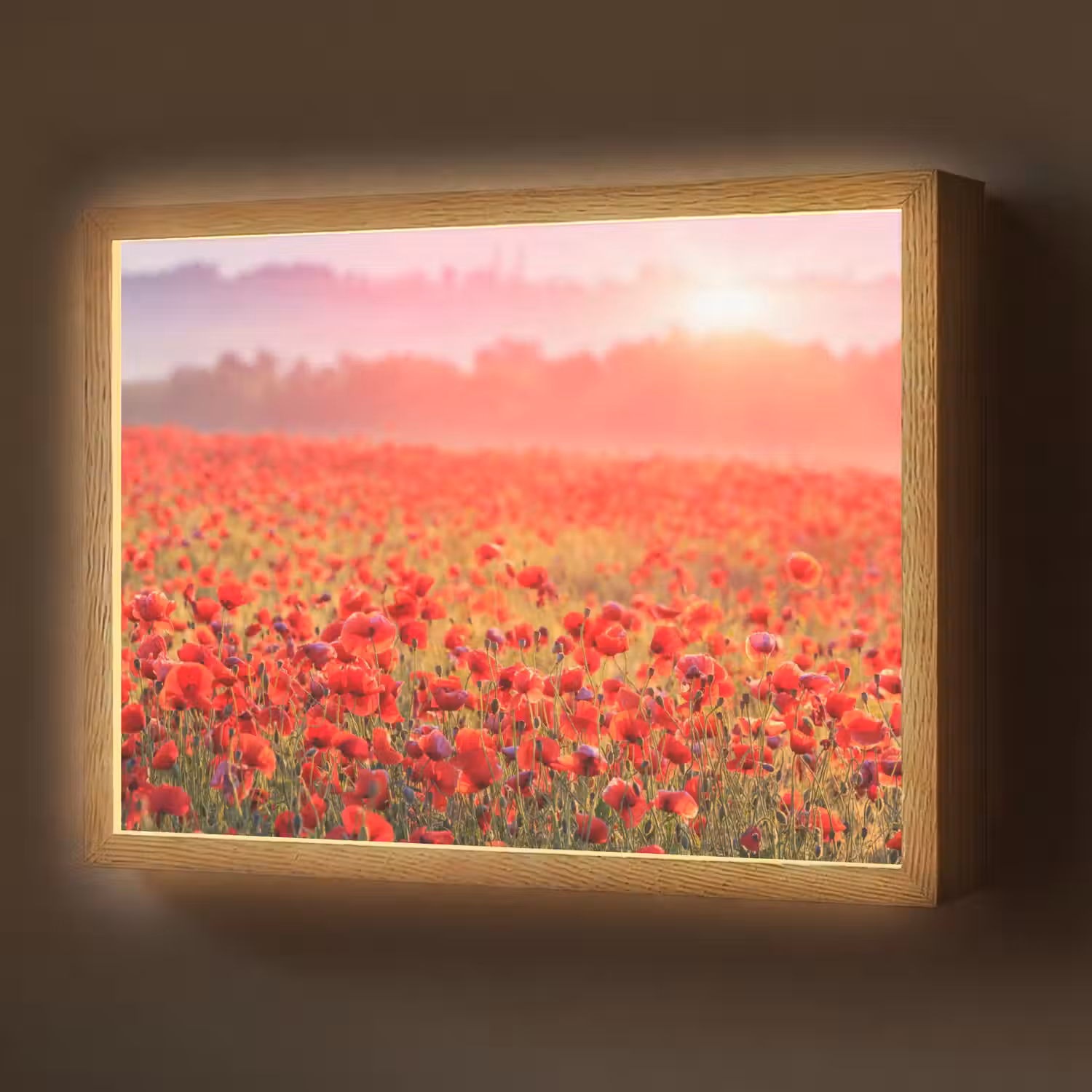 Bloemen - Klaprozen - Rood - Bloemenveld Light Box met batterij (Wandlamp) middel -z3d_website