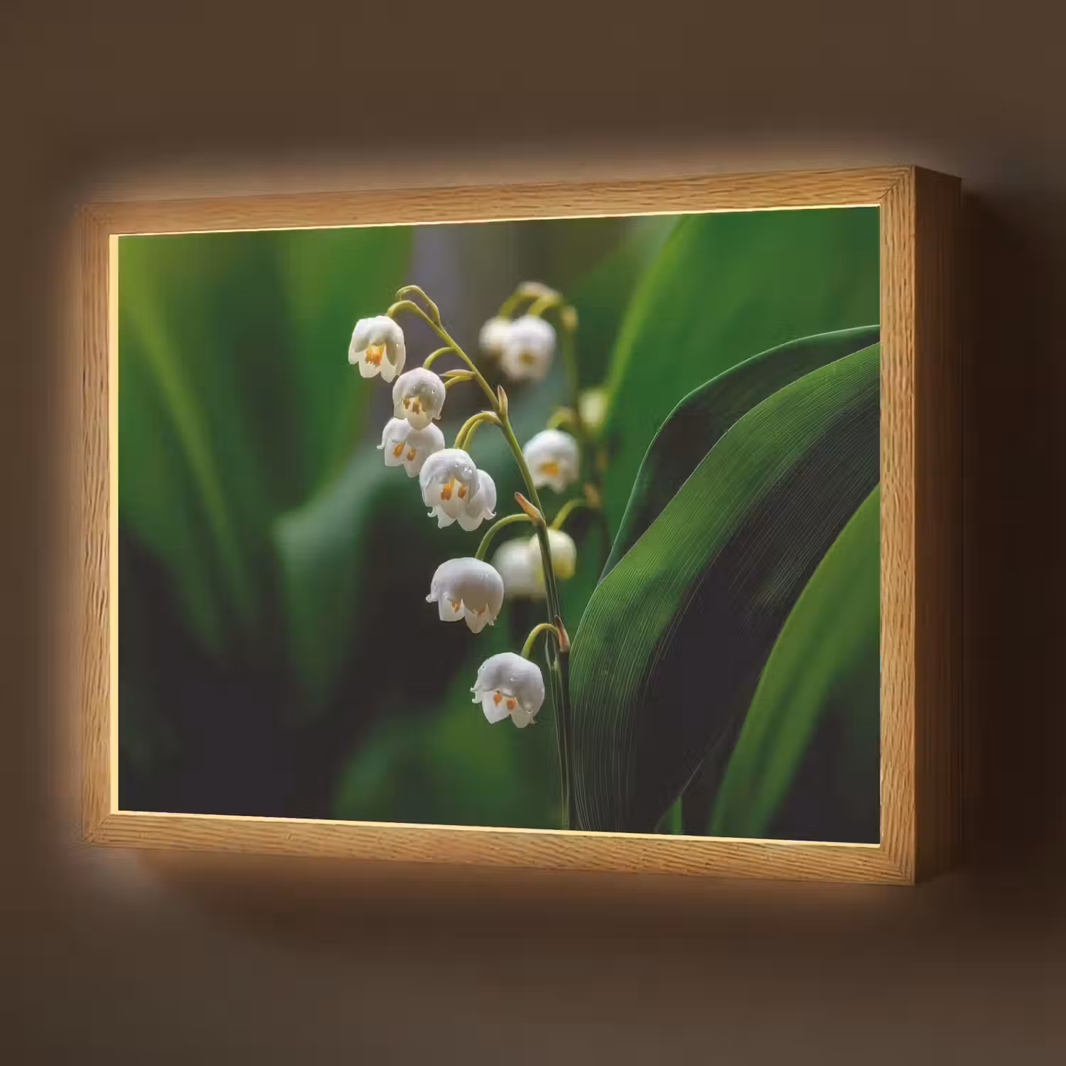 Bloemen - Wit - Bladeren - Lelietjes Light Box met batterij (Wandlamp) middel -z3d_website