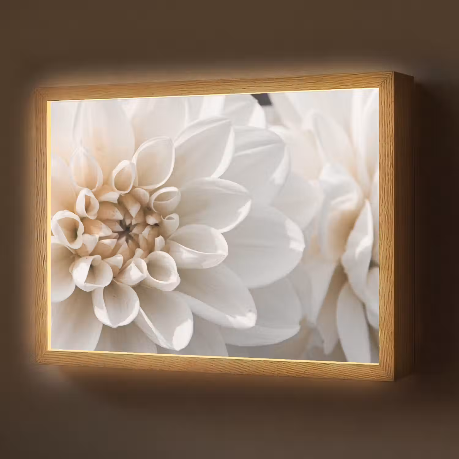 Bloemen - Wit - Natuur Light Box met batterij (Wandlamp) middel -z3d_website