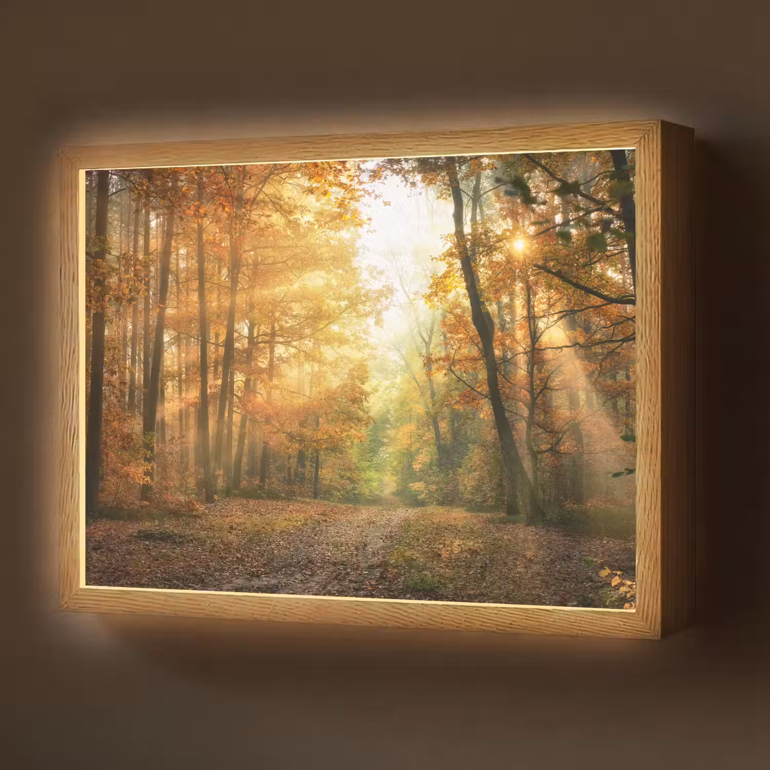 Bos - Herfst - Zon - Landschap - Natuur - Bomen - Bladeren Light Box met batterij (Wandlamp) middel -z3d_website