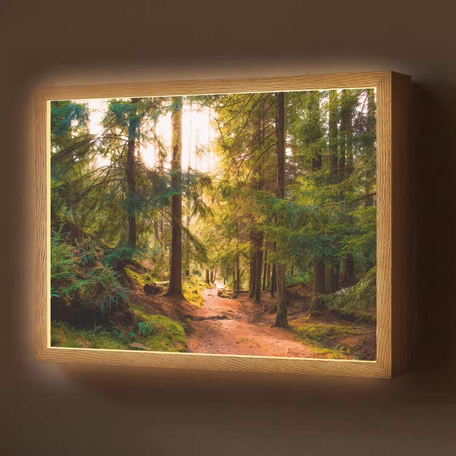 Bos - Pad - Bomen - Groen - Zon - Natuur Light Box met batterij (Wandlamp) middel -z3d_website