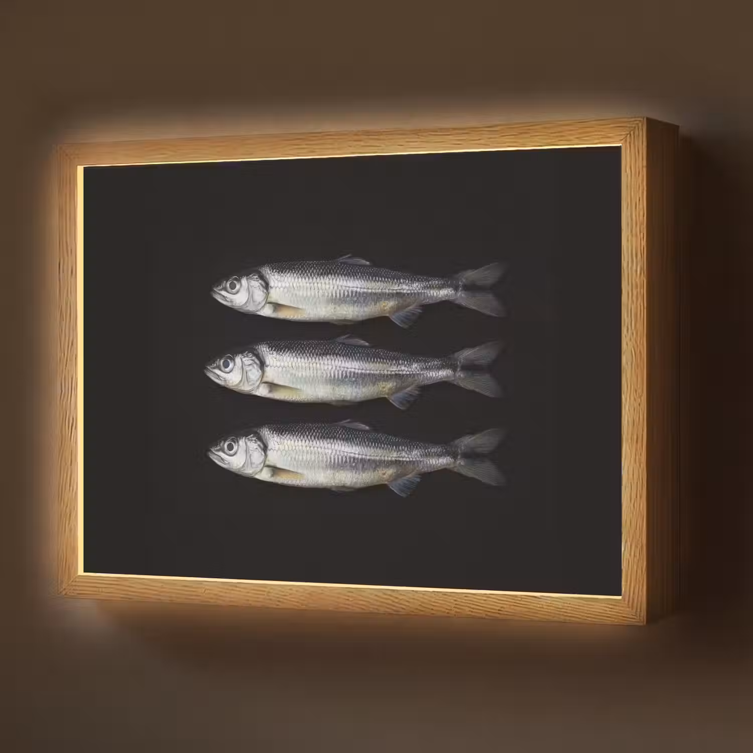 Haring - Vissen - Zwart Light Box met batterij (Wandlamp) middel -z3d_website